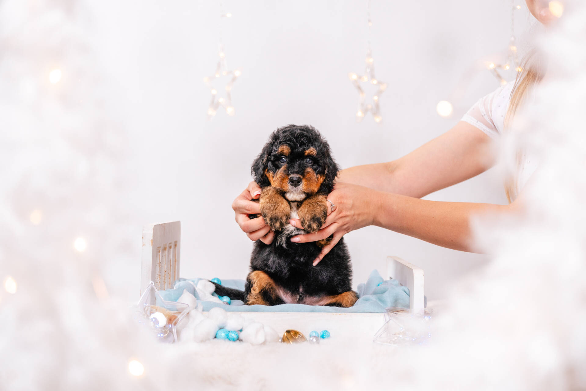 Denver - Mini F2 Boy - Image 5