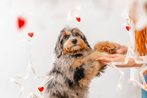 9litter 5b 8612блу 7