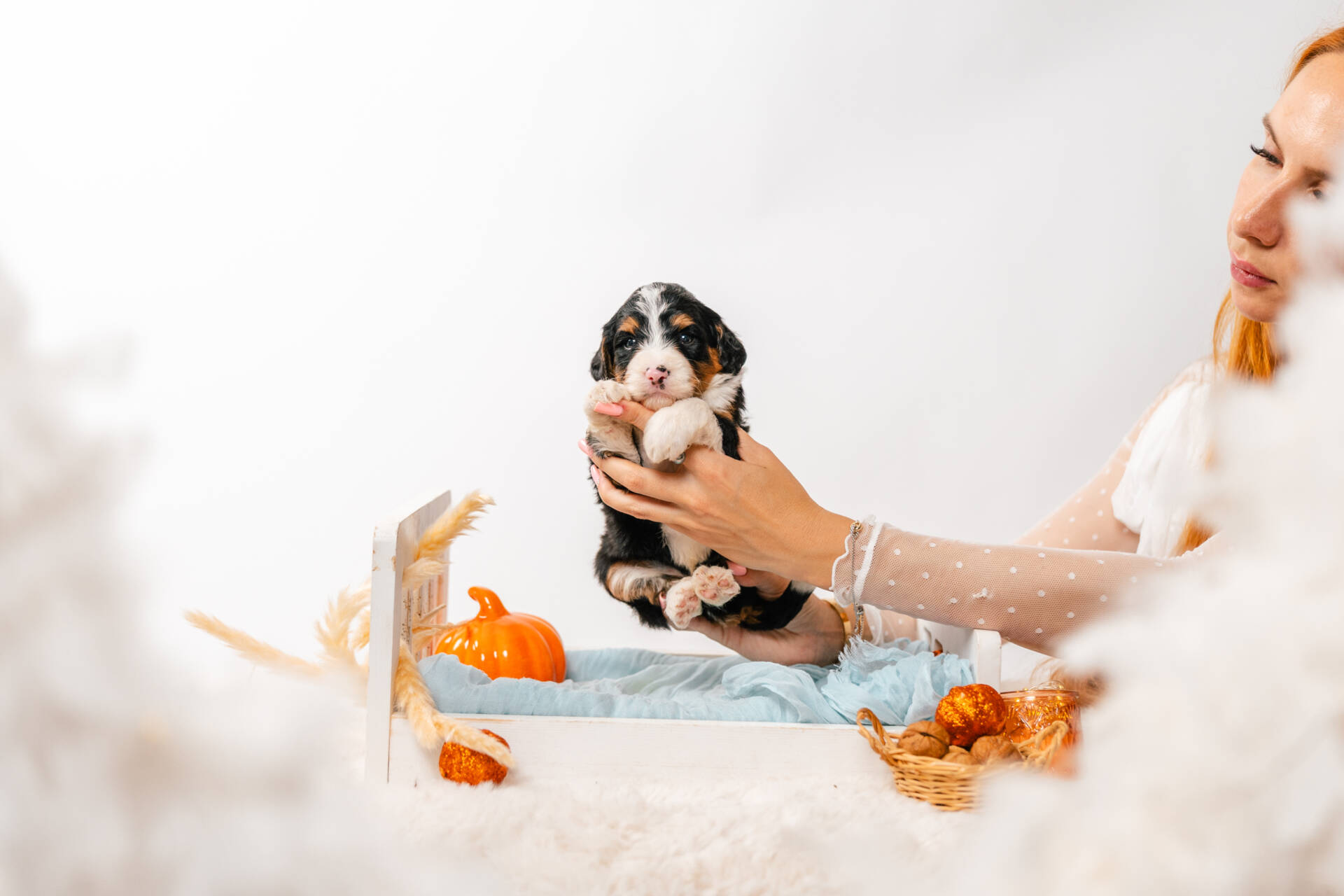 Archie - Mini F1b Boy - Image 2