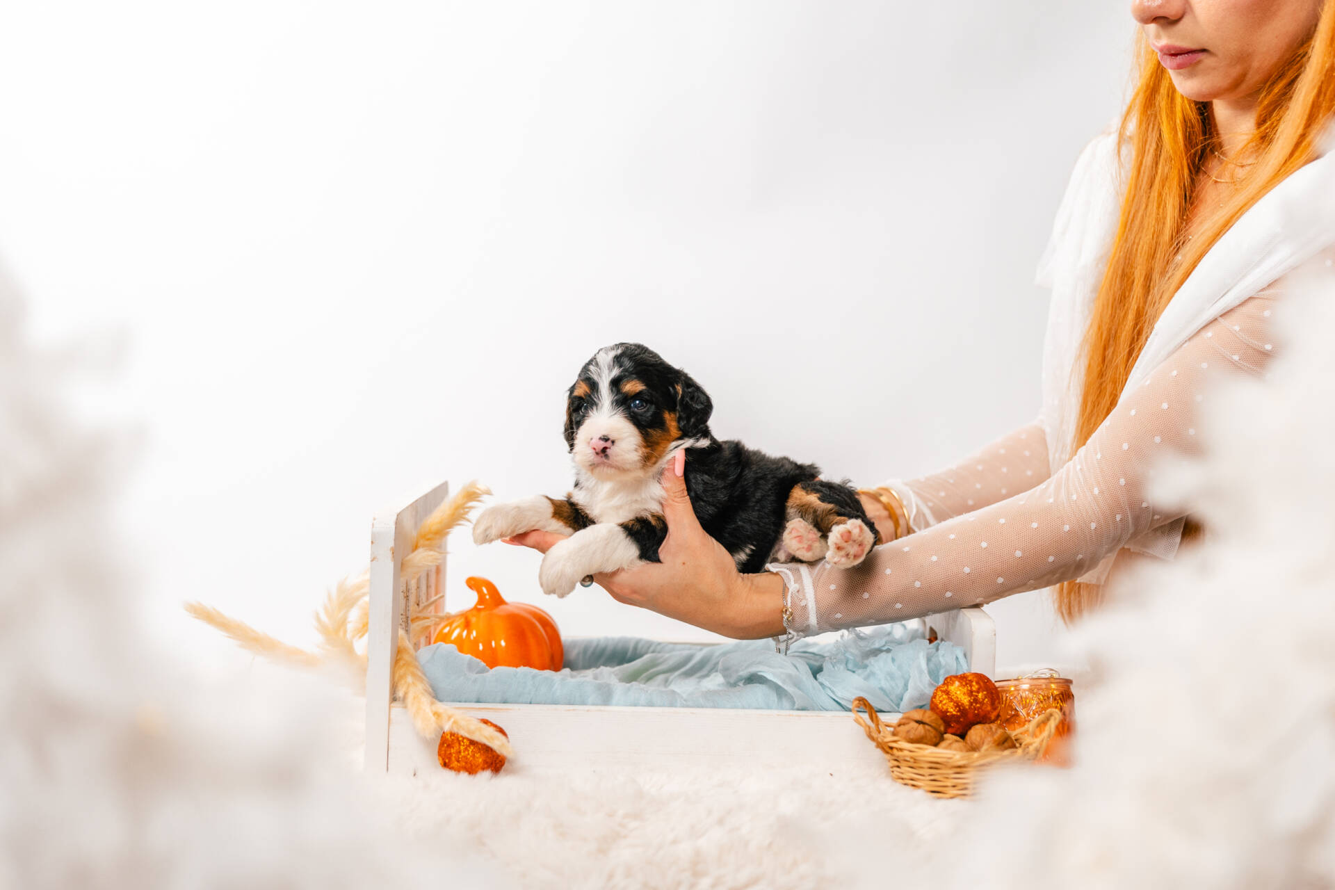 Archie - Mini F1b Boy - Image 3