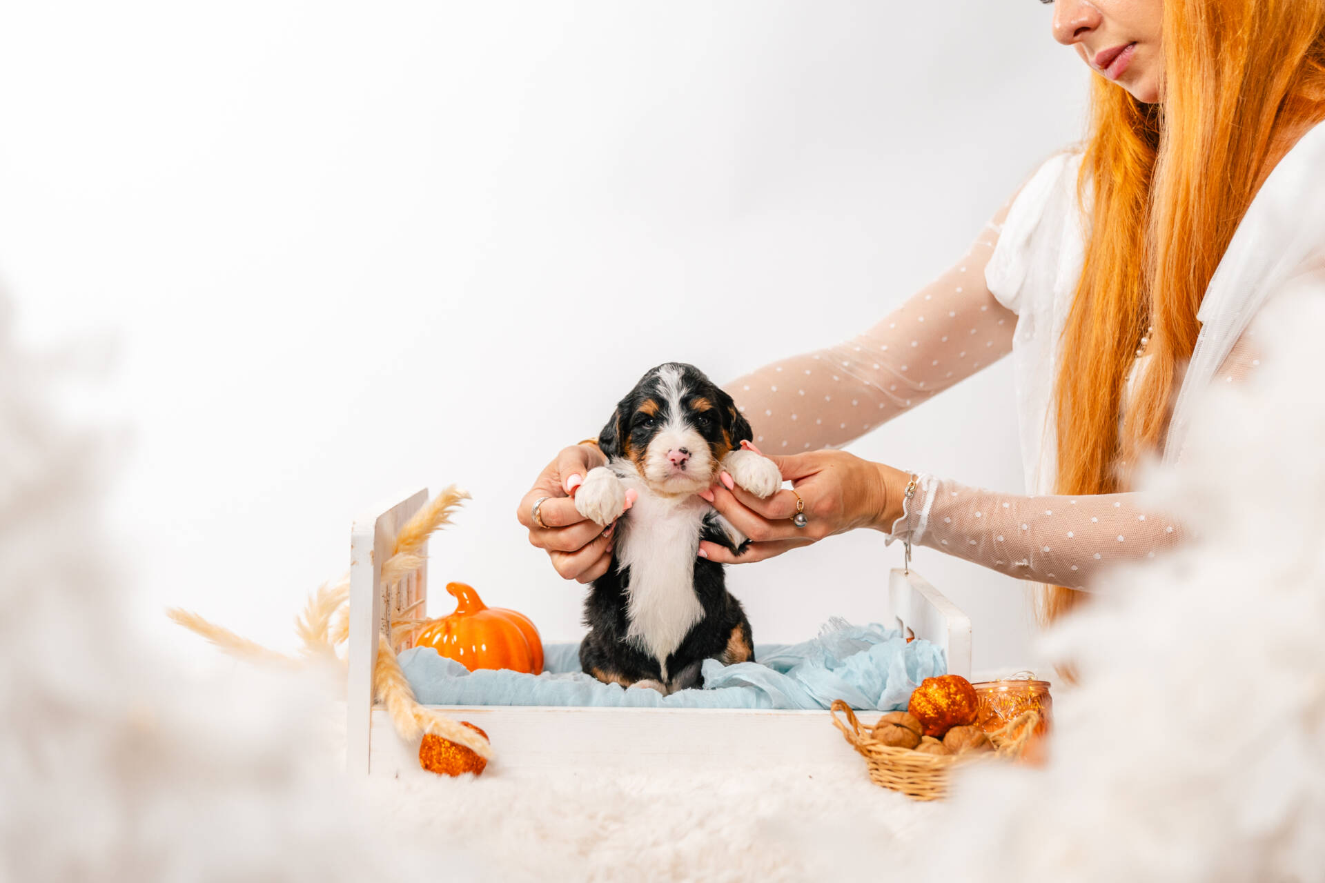 Archie - Mini F1b Boy - Image 4