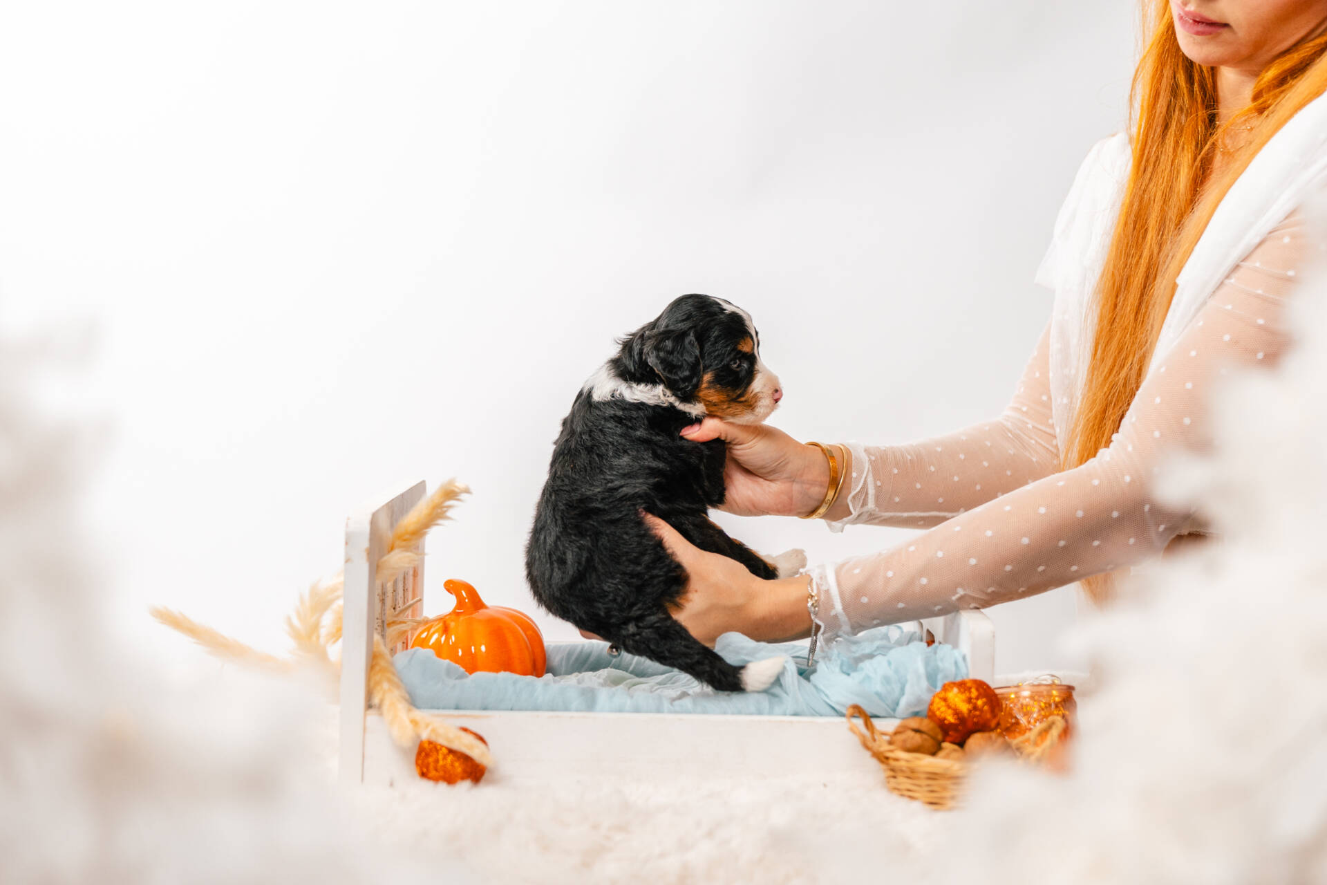 Archie - Mini F1b Boy - Image 6