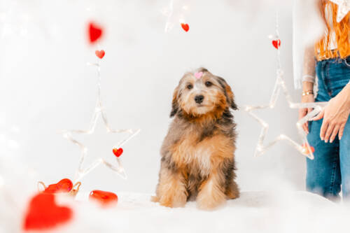 9litter 6g блубел 1