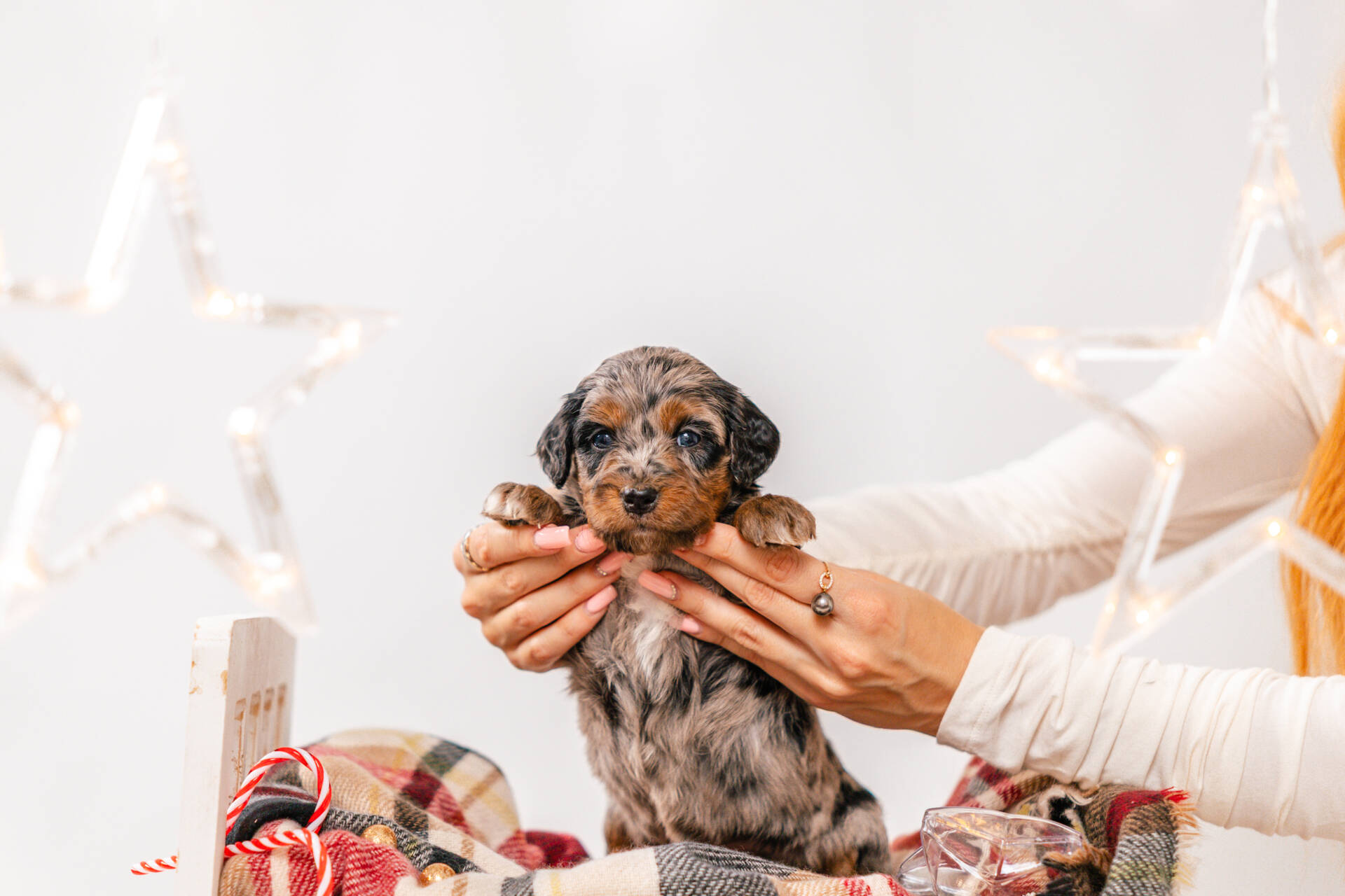 Poppy Snow - Mini F1 Girl