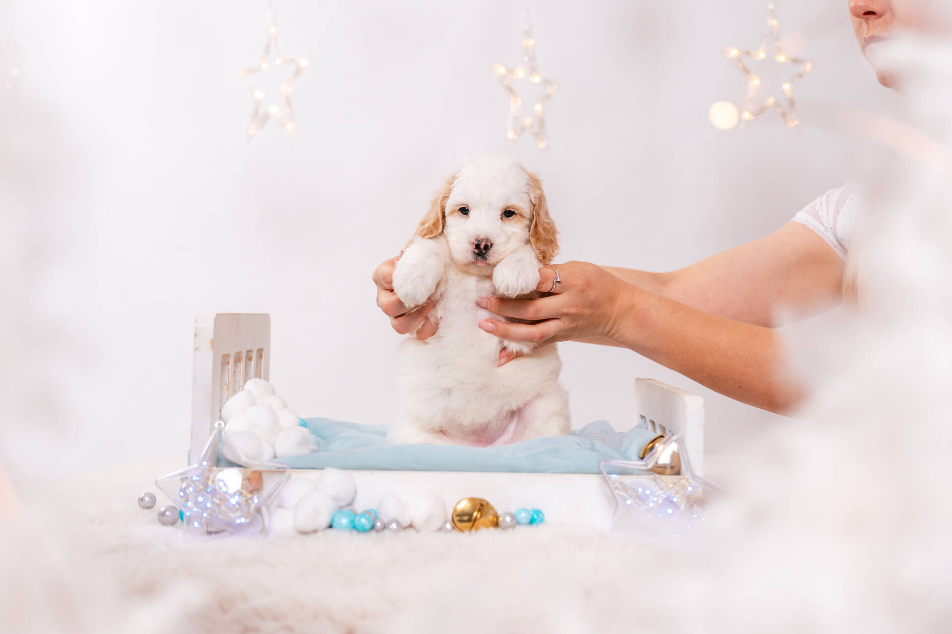 Sierra - Mini F2 Girl - Image 4