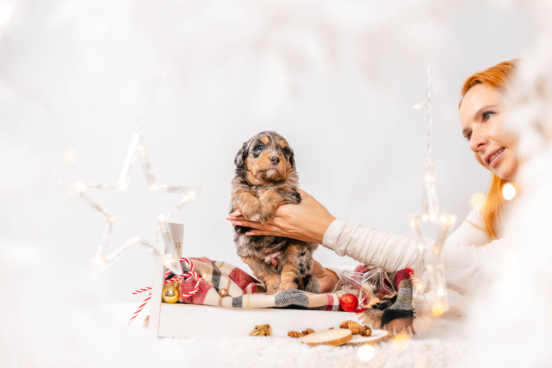 Prancer - Mini F1 Boy - Image 2