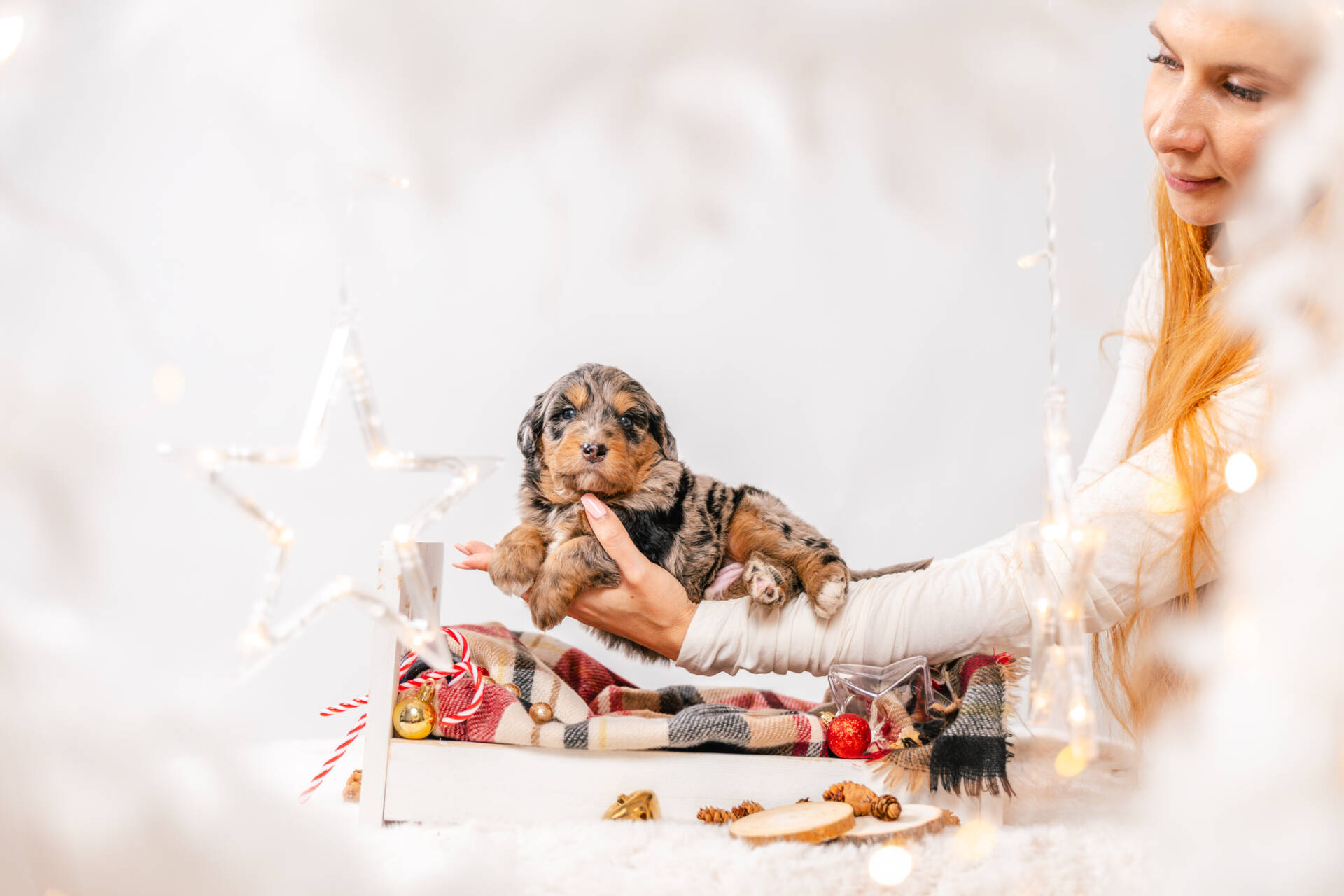 Prancer - Mini F1 Boy - Image 3