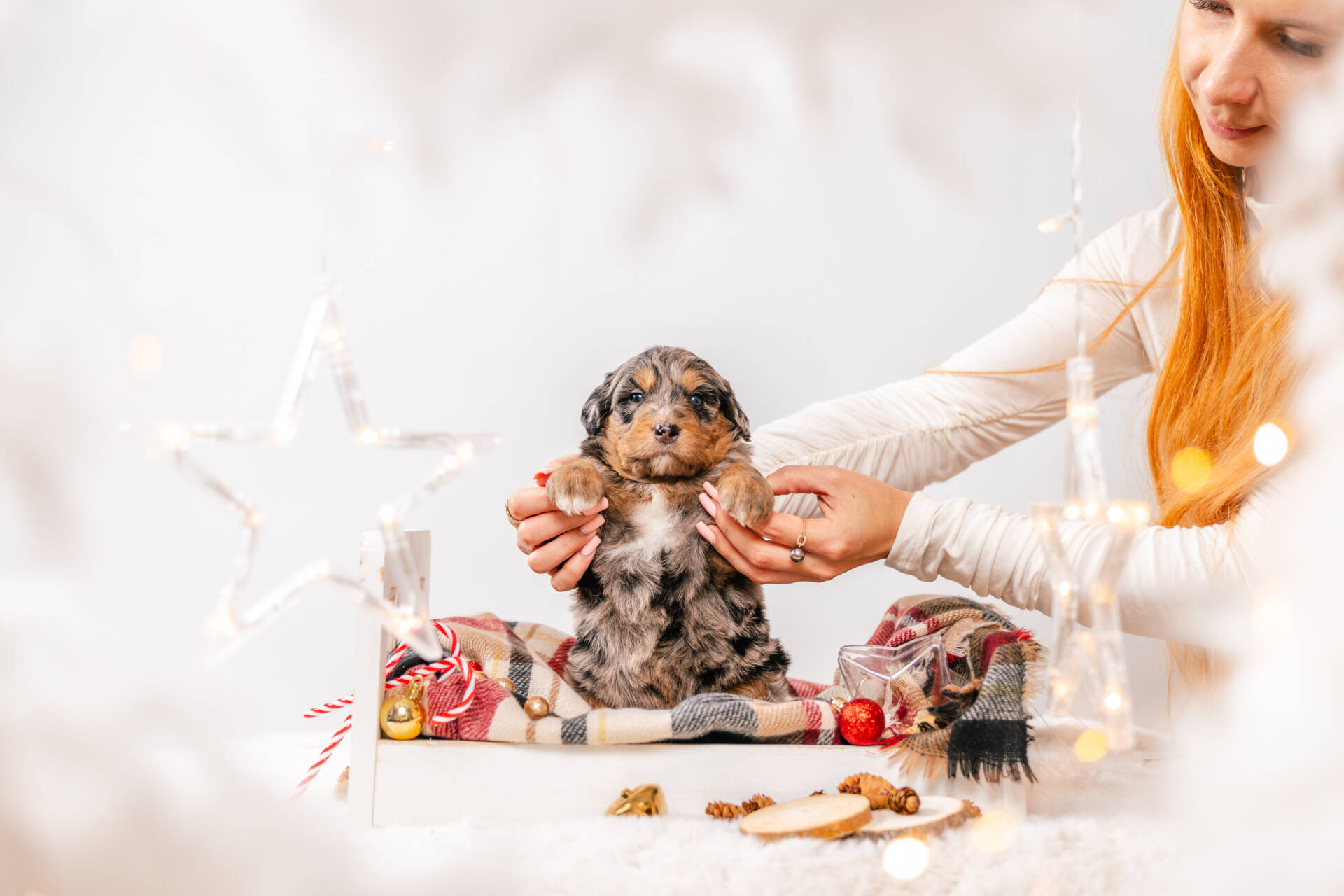 Prancer - Mini F1 Boy - Image 4