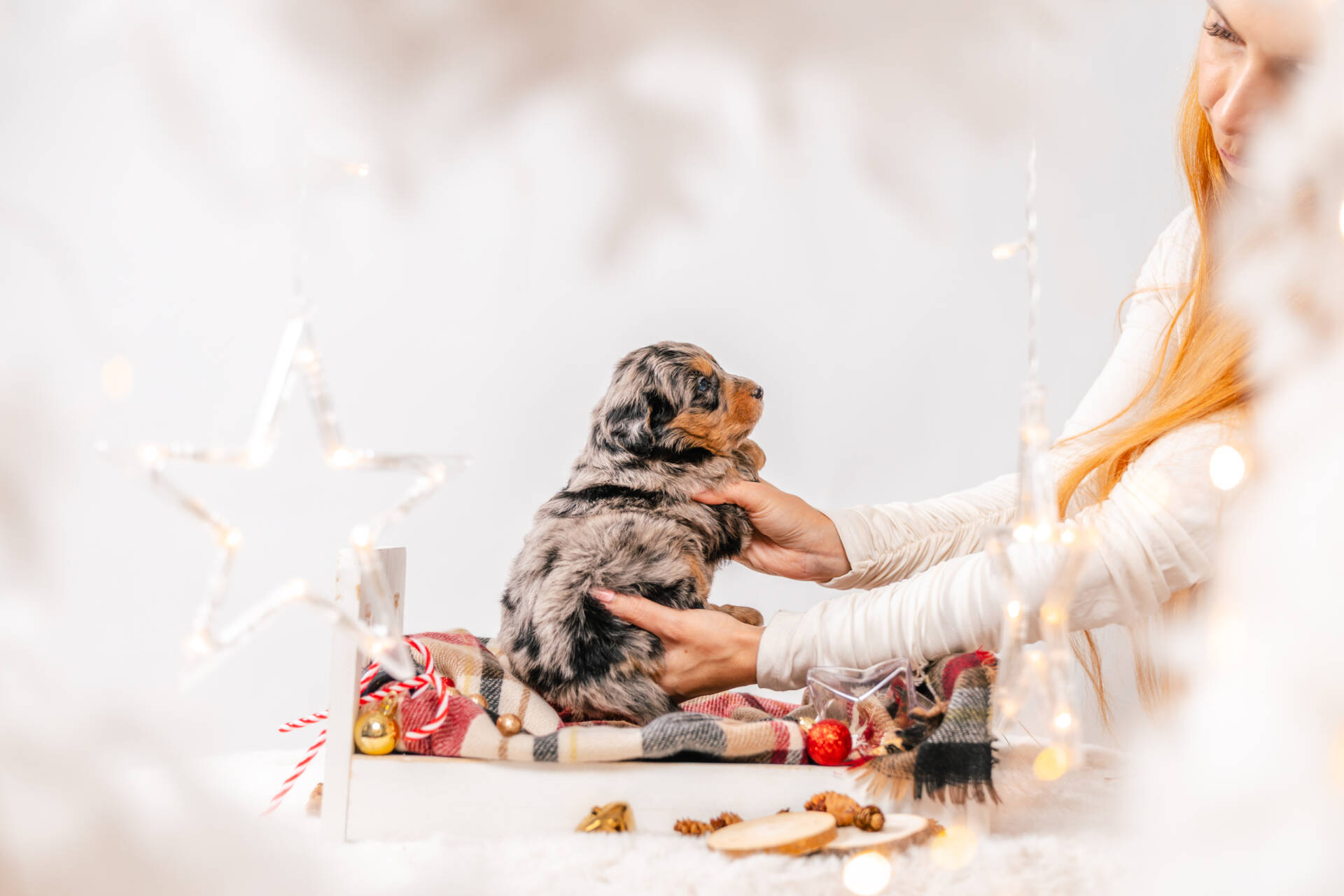 Prancer - Mini F1 Boy - Image 6