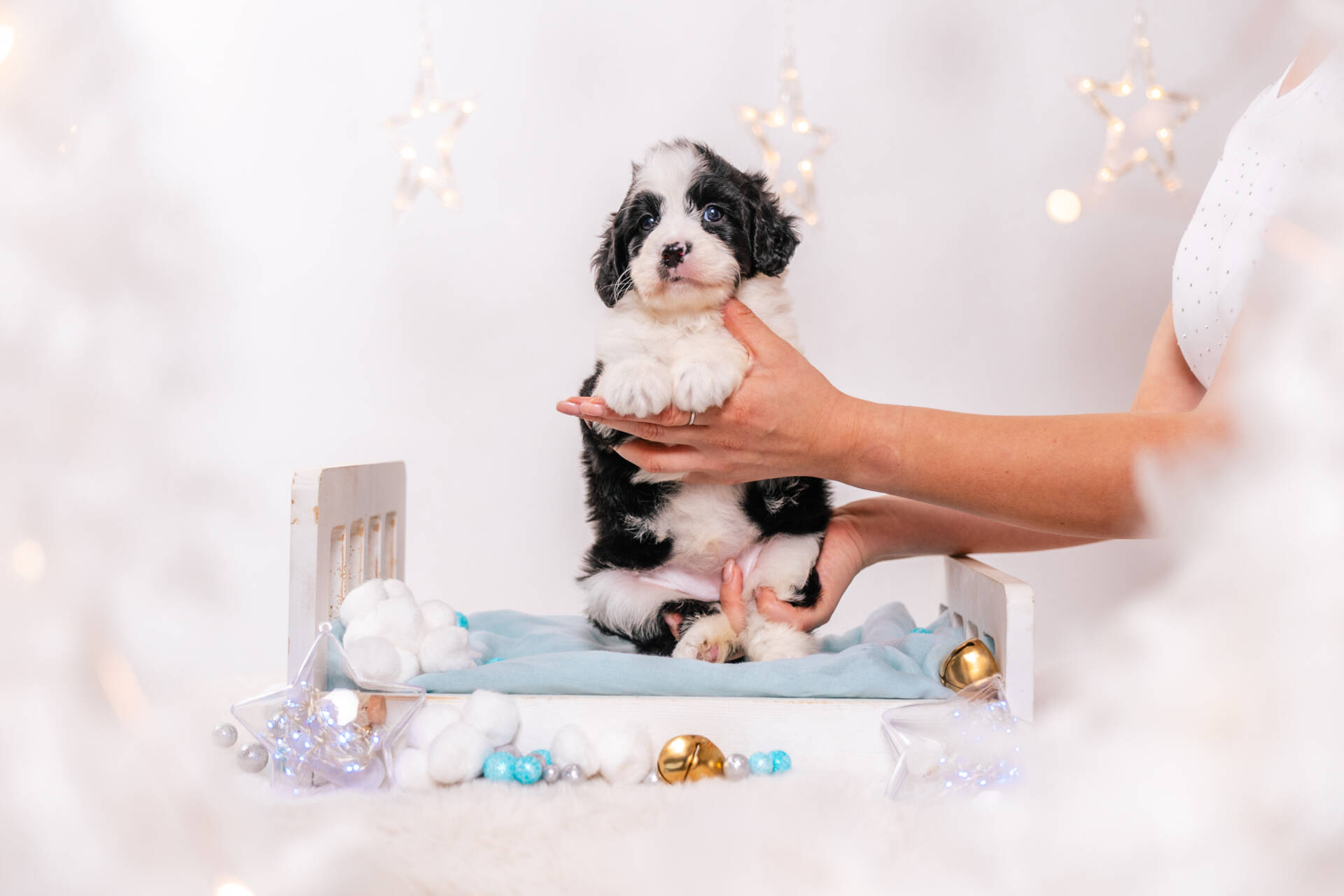 Sage - Mini F2 Girl - Image 2