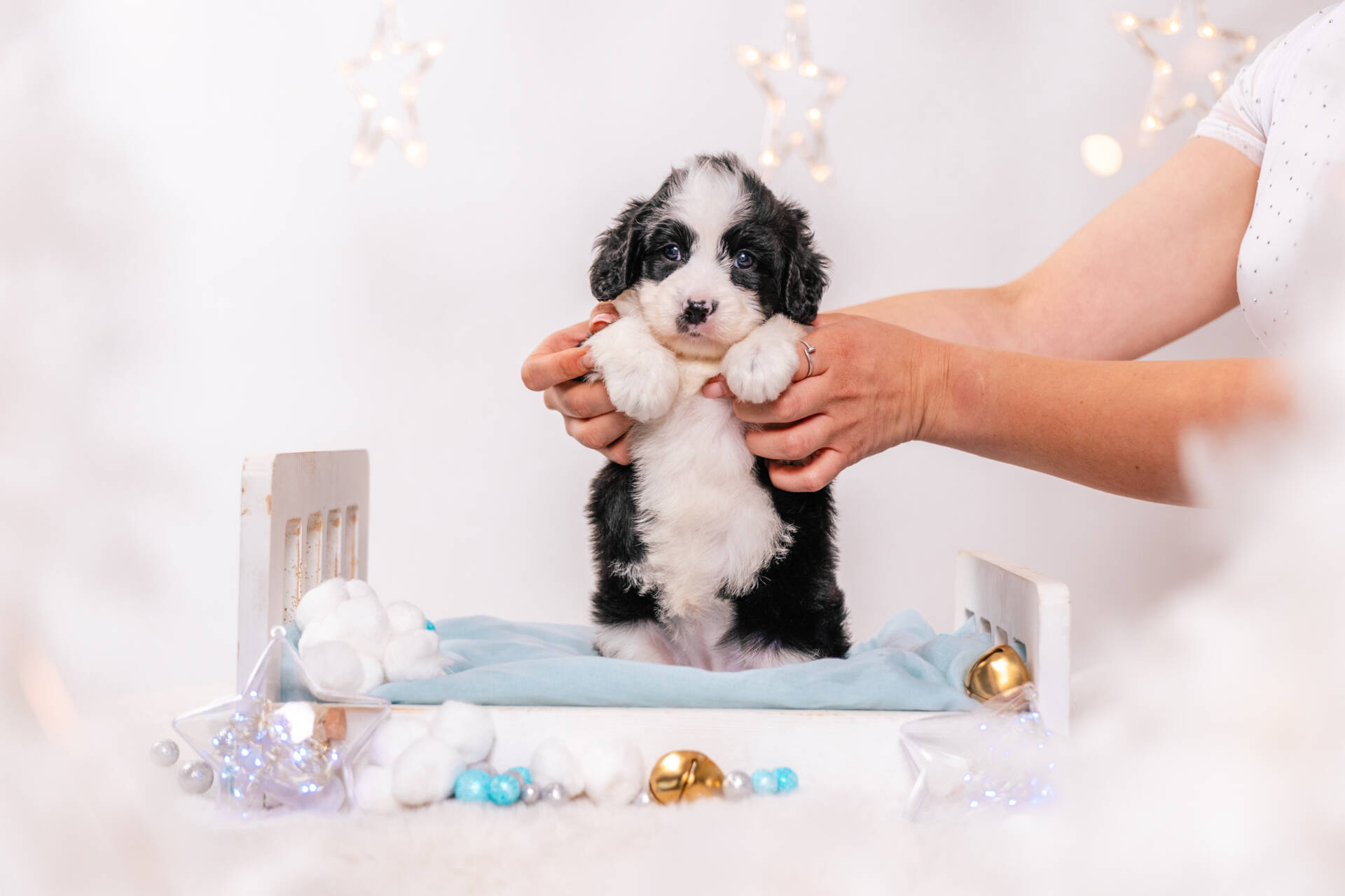 Sage - Mini F2 Girl - Image 6