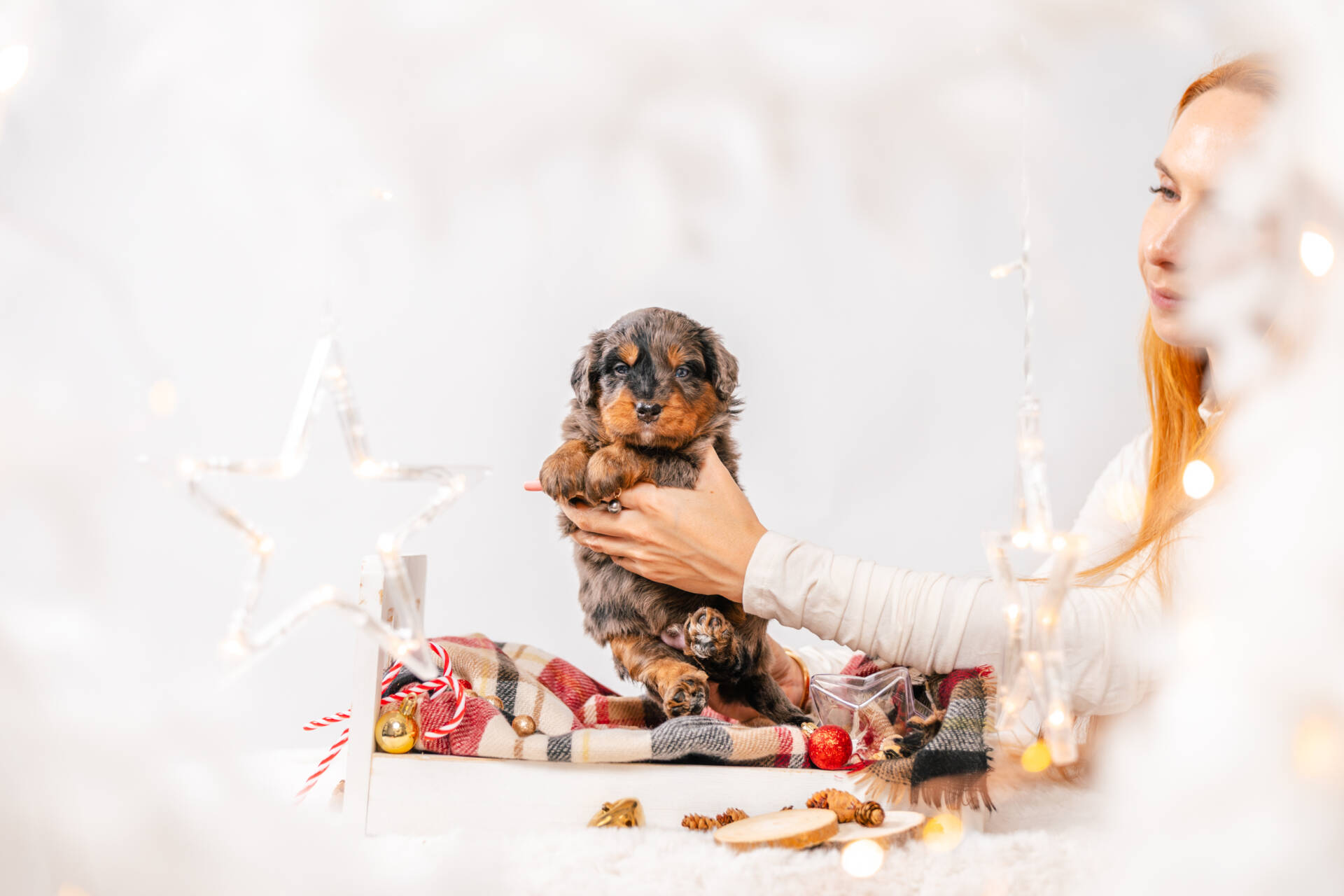 Prince Frost - Mini F1 Boy - Image 2