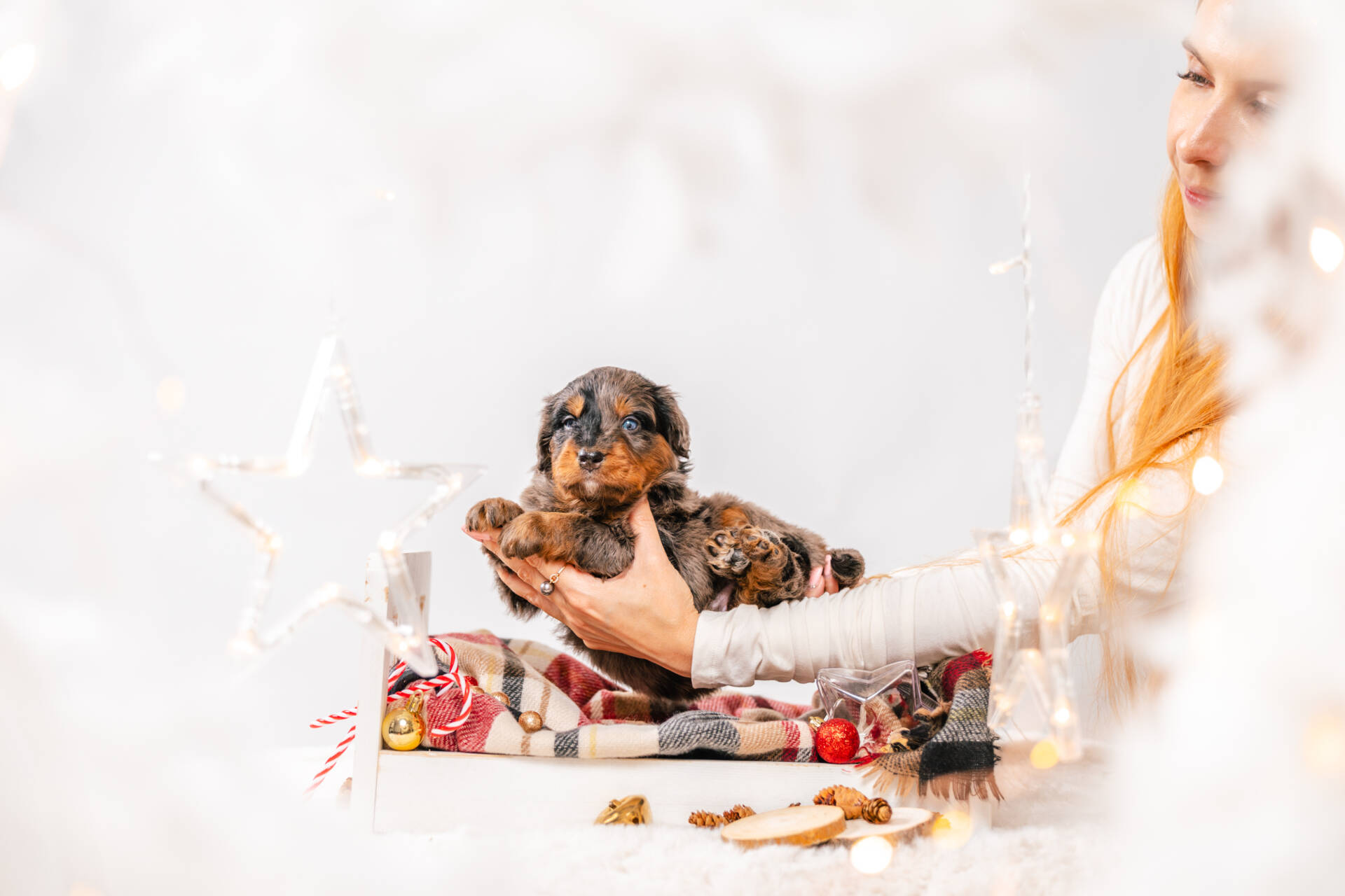 Prince Frost - Mini F1 Boy - Image 3