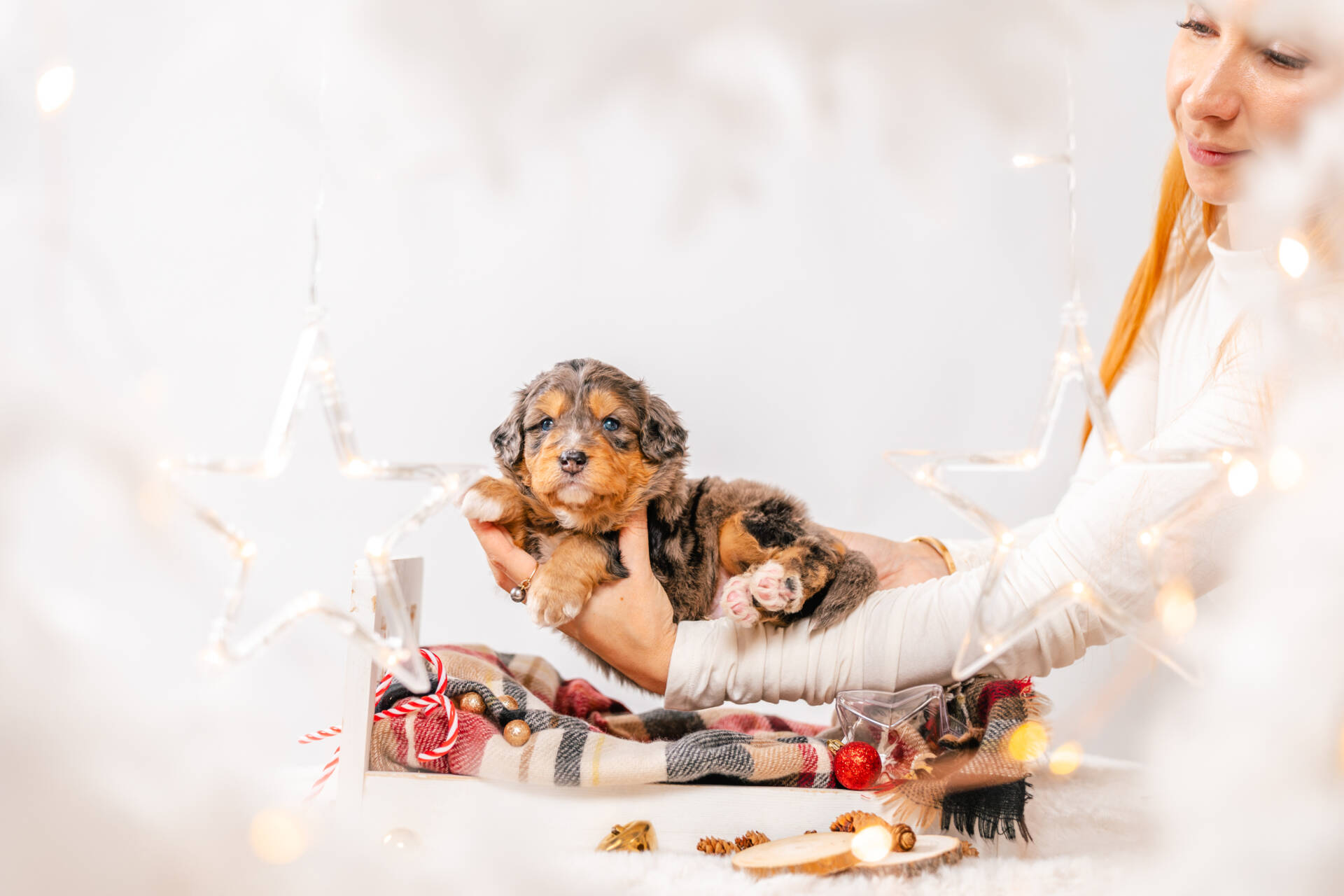 Popcorn - Mini F1 Girl - Image 3