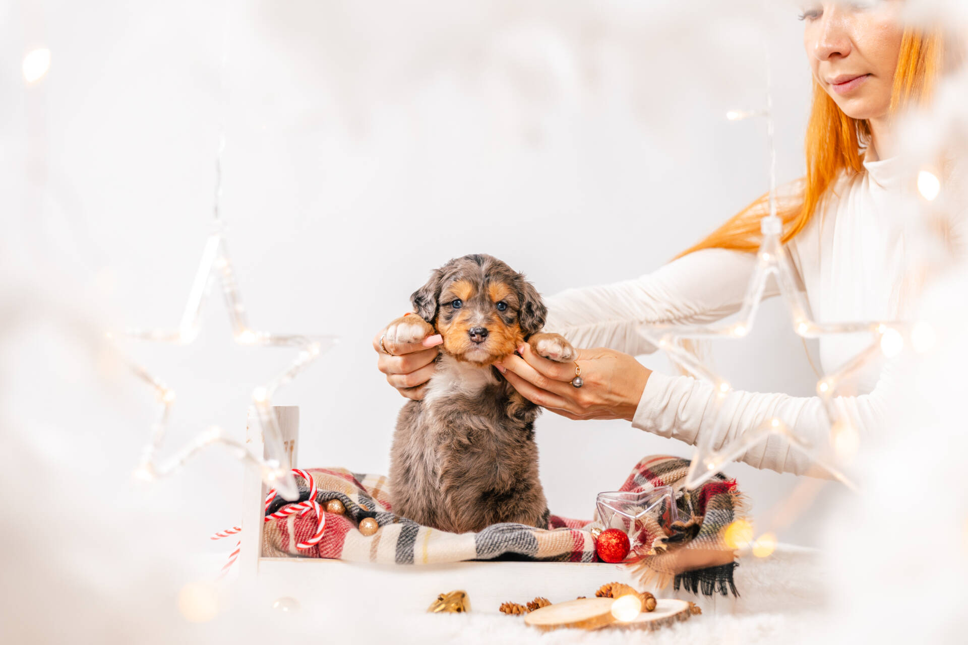 Popcorn - Mini F1 Girl - Image 4