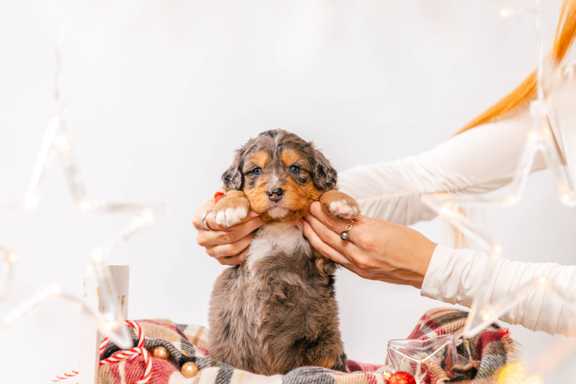 Popcorn - Mini F1 Girl