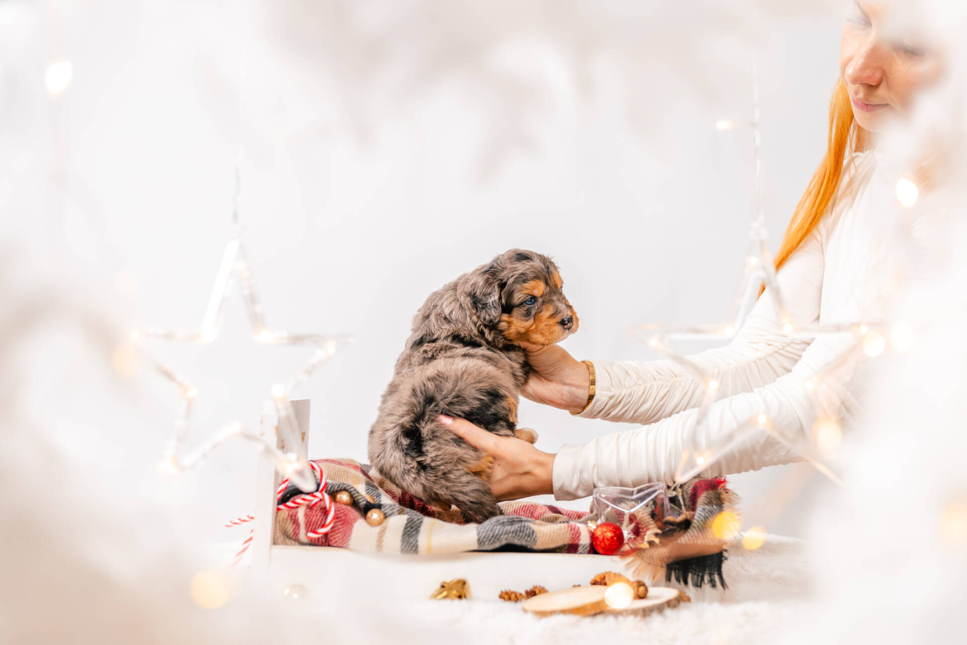 Popcorn - Mini F1 Girl - Image 6