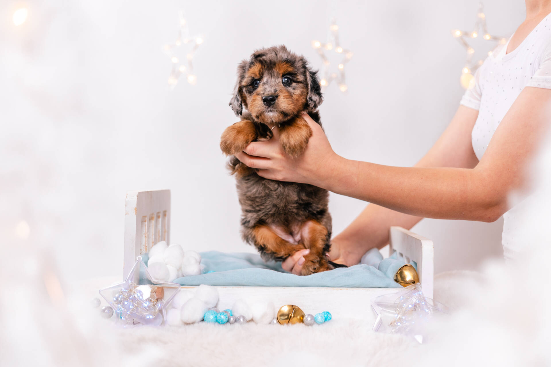 Moxie - Mini F2 Girl - Image 2