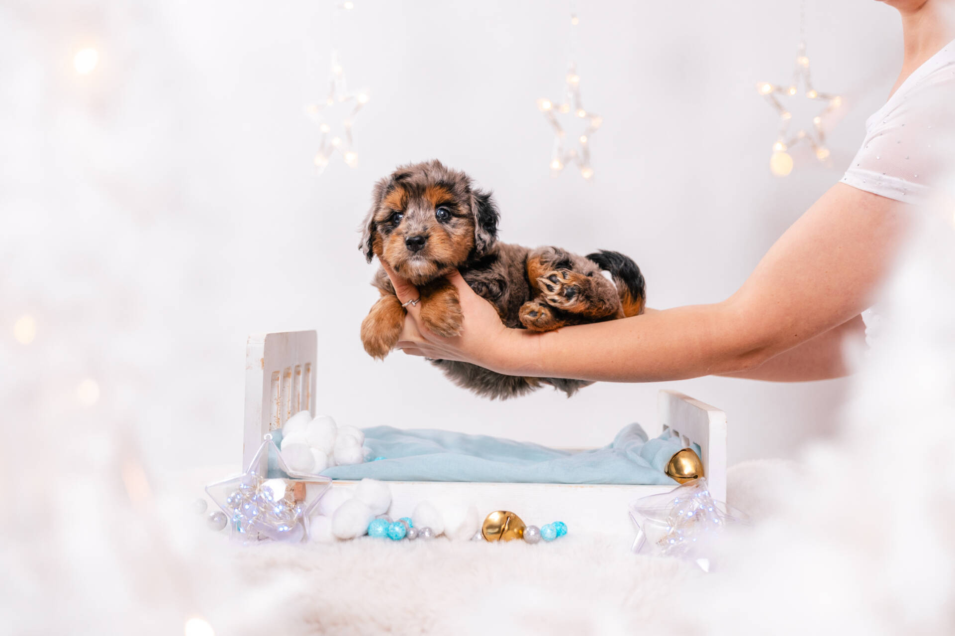 Moxie - Mini F2 Girl - Image 3