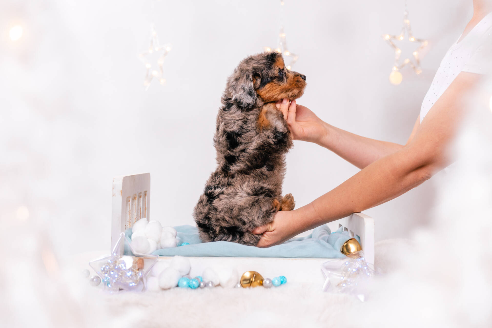 Moxie - Mini F2 Girl - Image 4