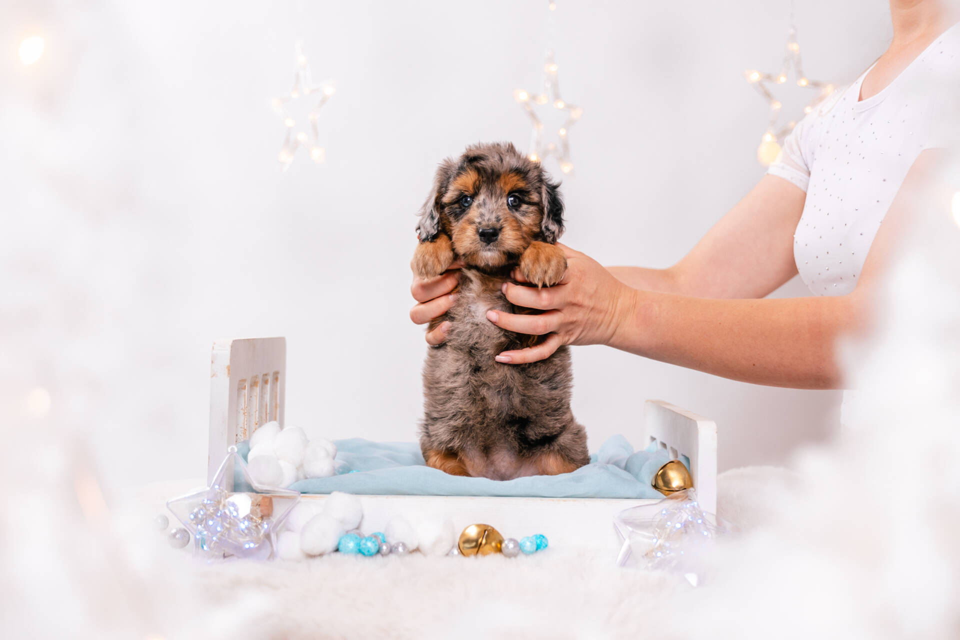 Moxie - Mini F2 Girl - Image 5