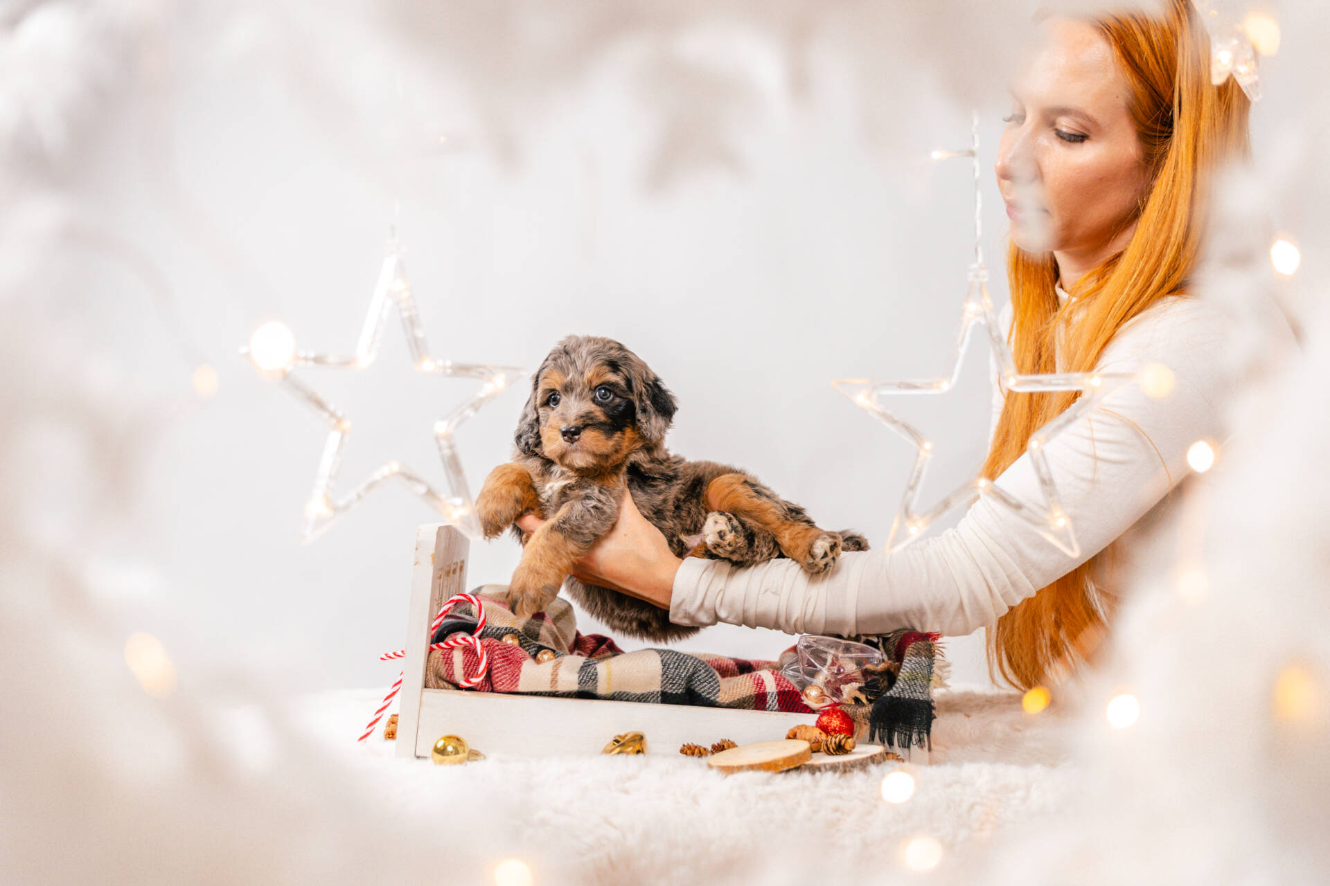 Ozzie - Mini F1 Boy - Image 3