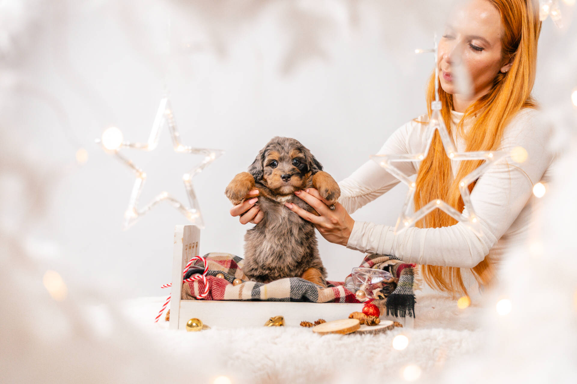 Ozzie - Mini F1 Boy - Image 5