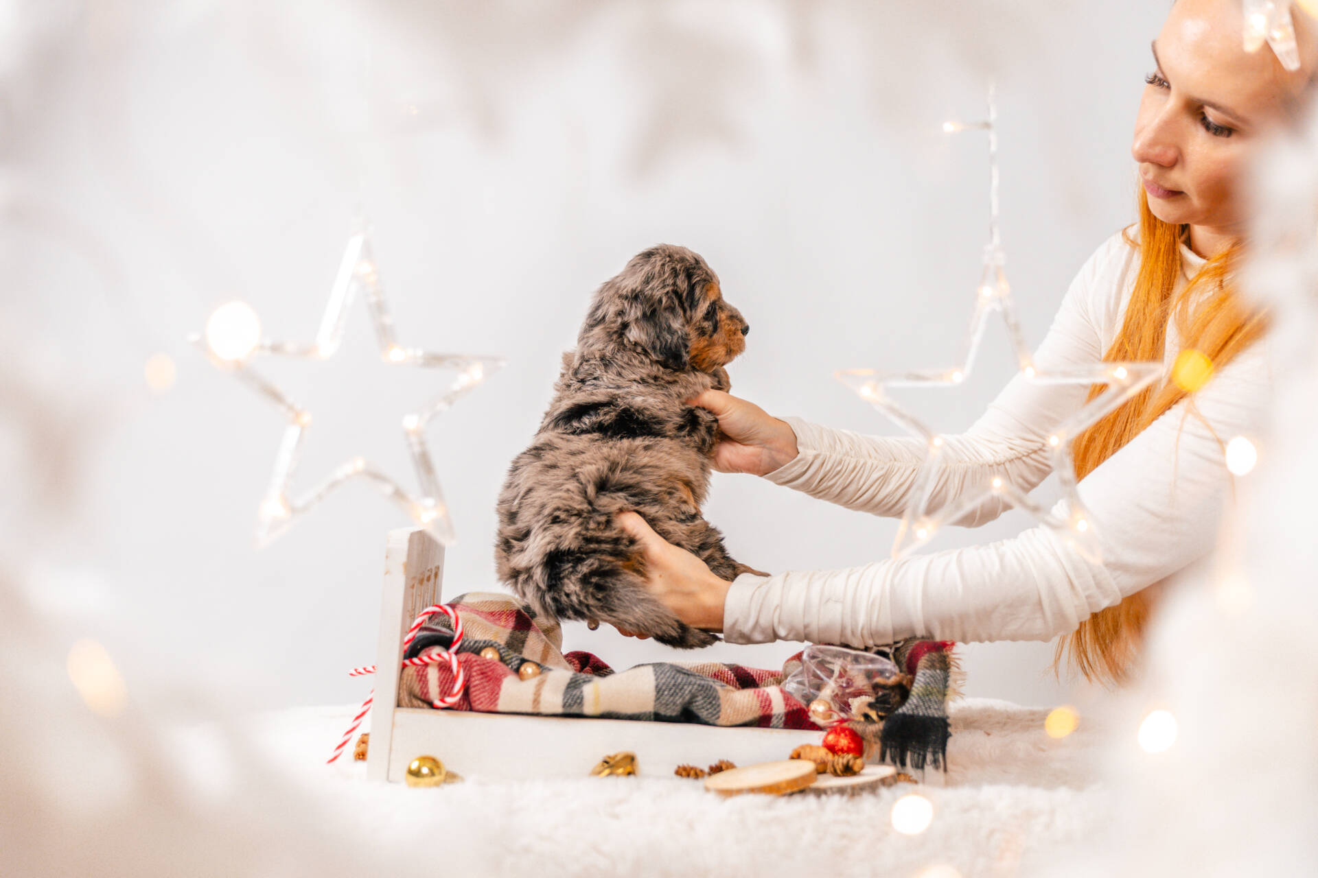 Ozzie - Mini F1 Boy - Image 6