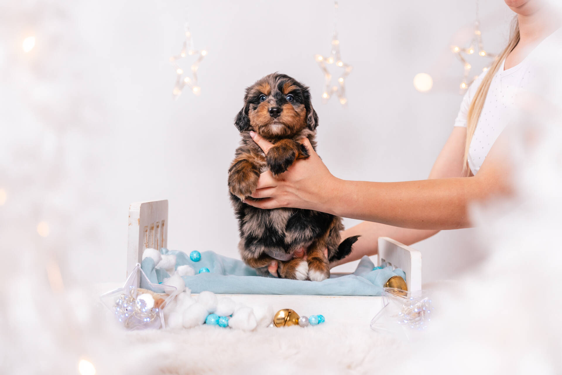 Nala - Mini F1 Girl - Image 2