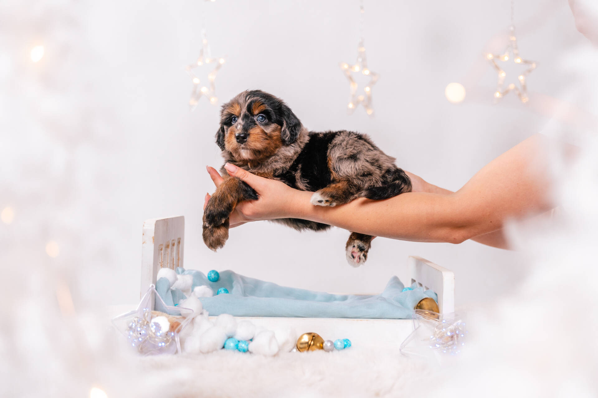 Nala - Mini F1 Girl - Image 3