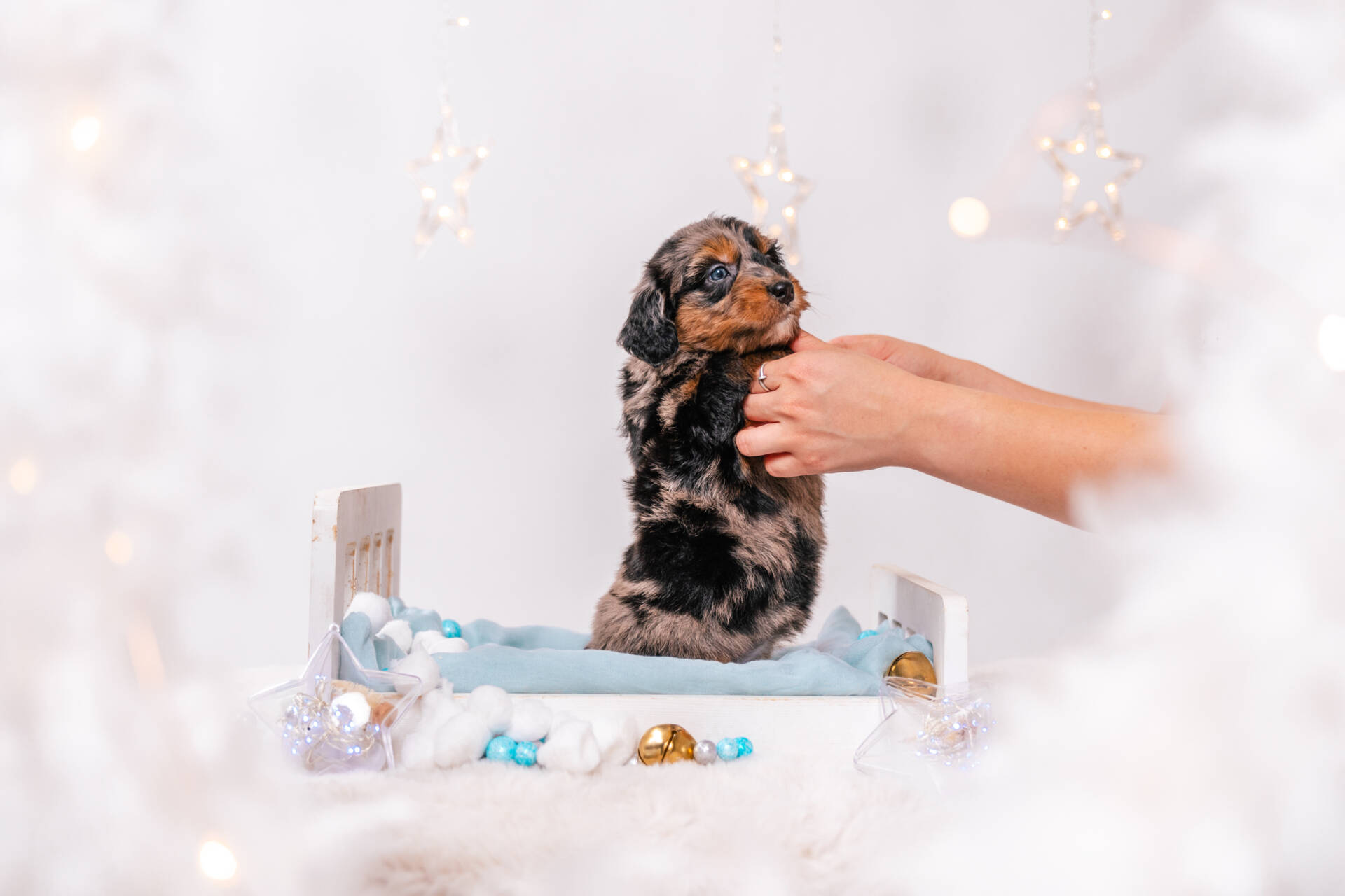 Nala - Mini F1 Girl - Image 4