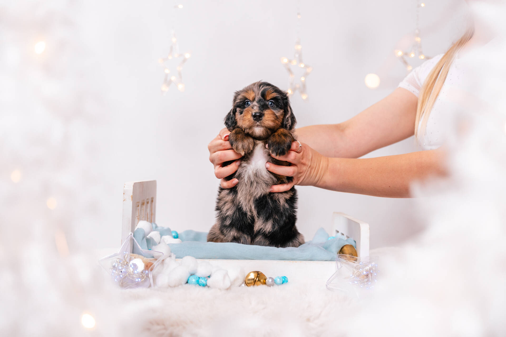 Nala - Mini F1 Girl - Image 5