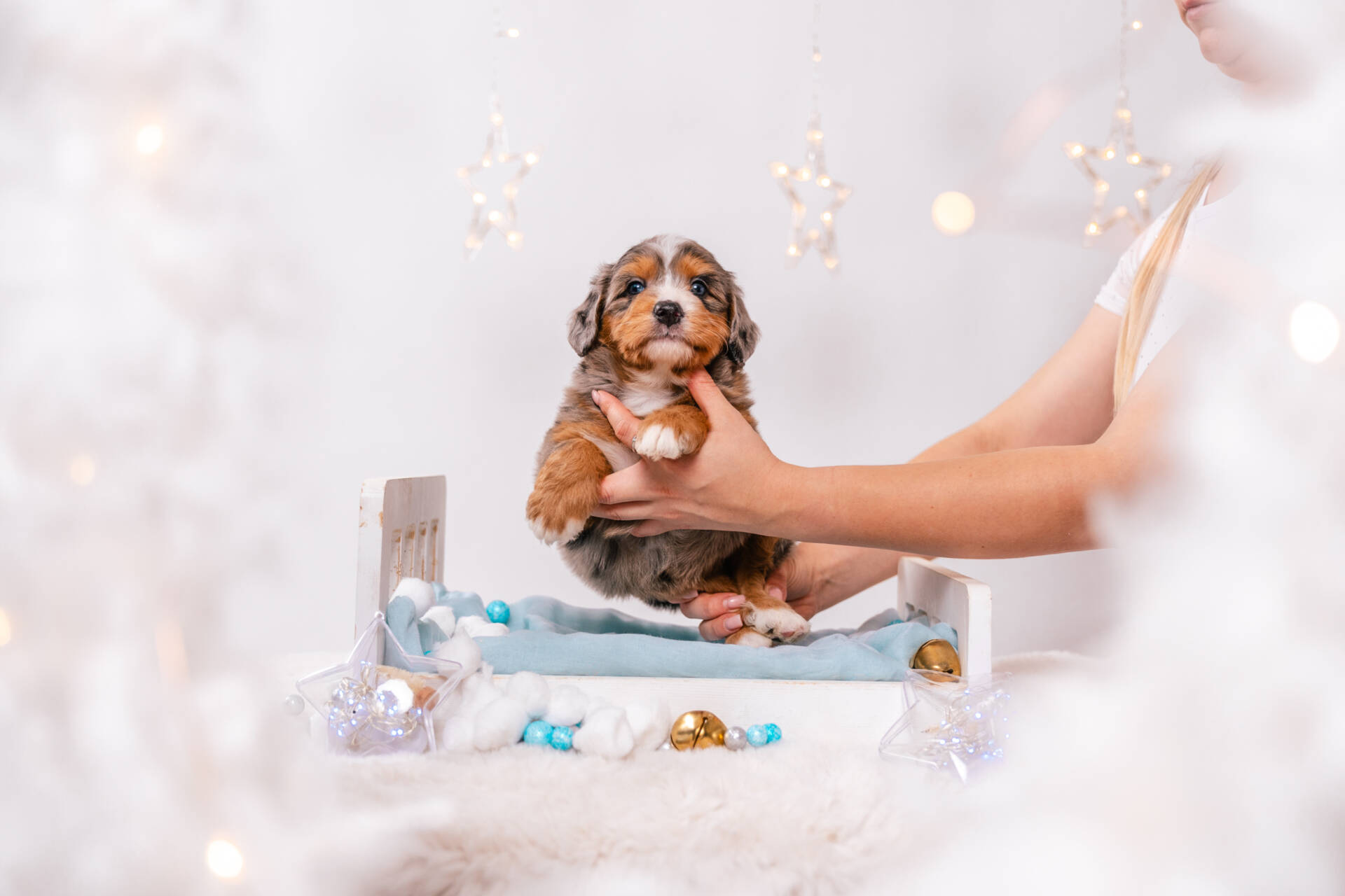 Nori - Mini F1 Girl - Image 2