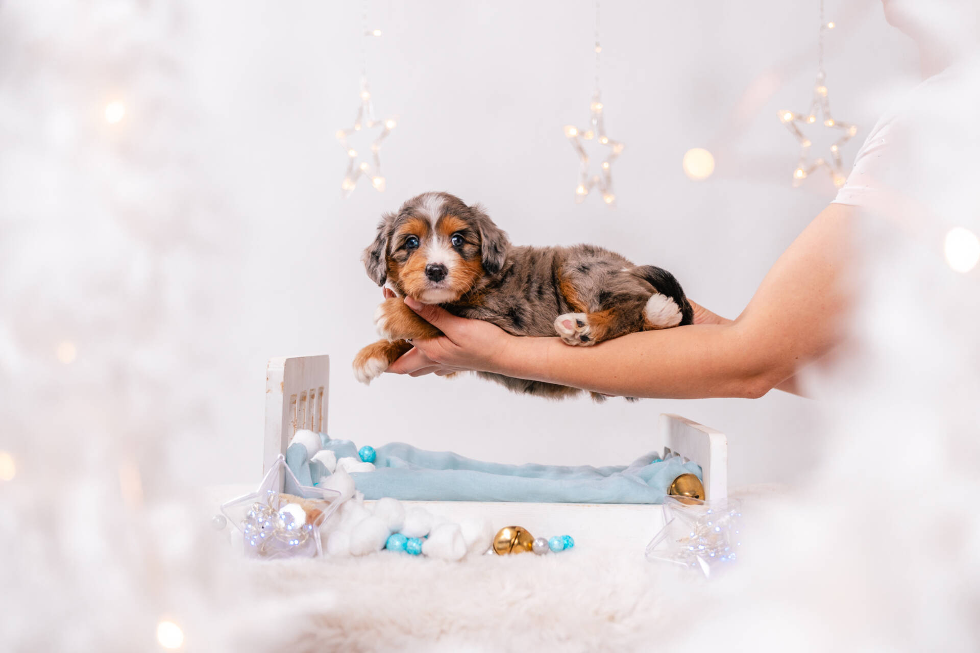 Nori - Mini F1 Girl - Image 3