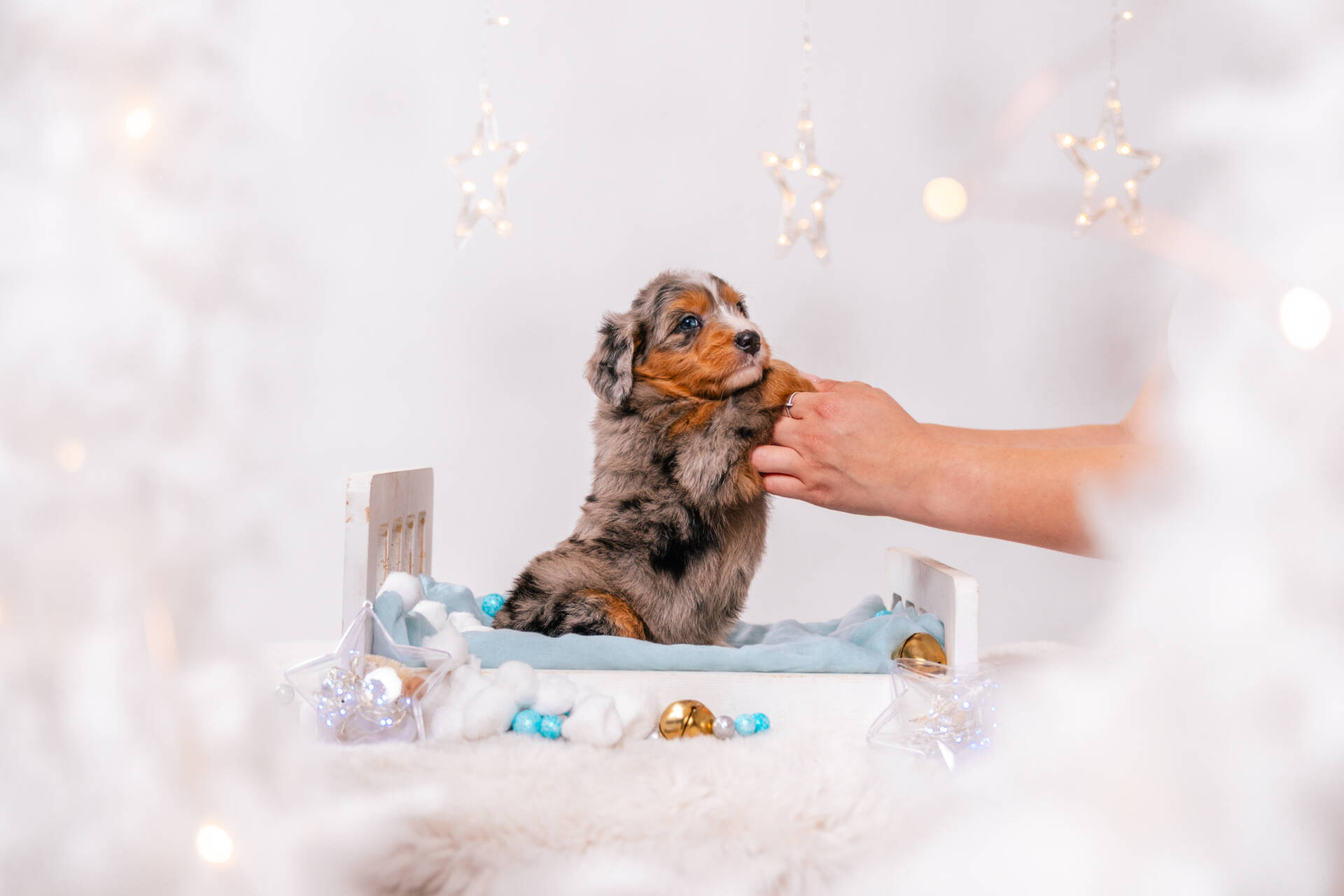 Nori - Mini F1 Girl - Image 4