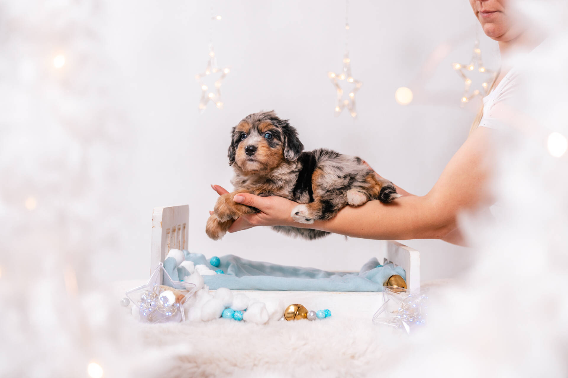 Nessa - Mini F1 Girl - Image 3