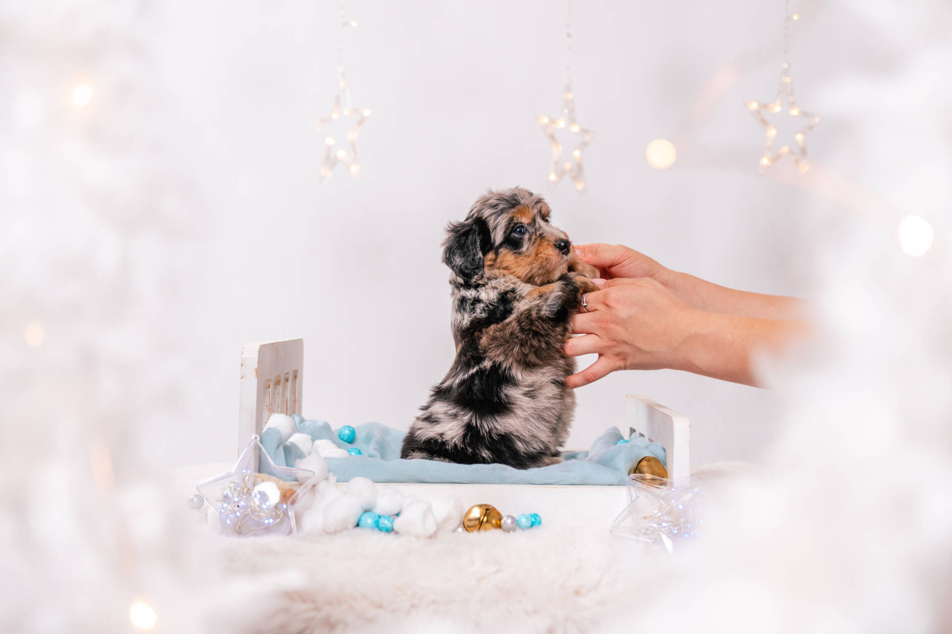 Nessa - Mini F1 Girl - Image 4