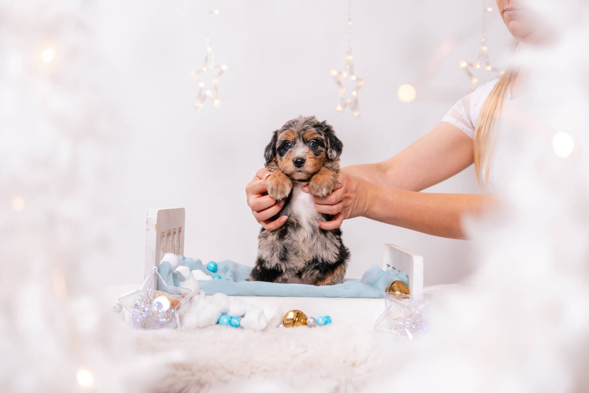 Nessa - Mini F1 Girl - Image 5