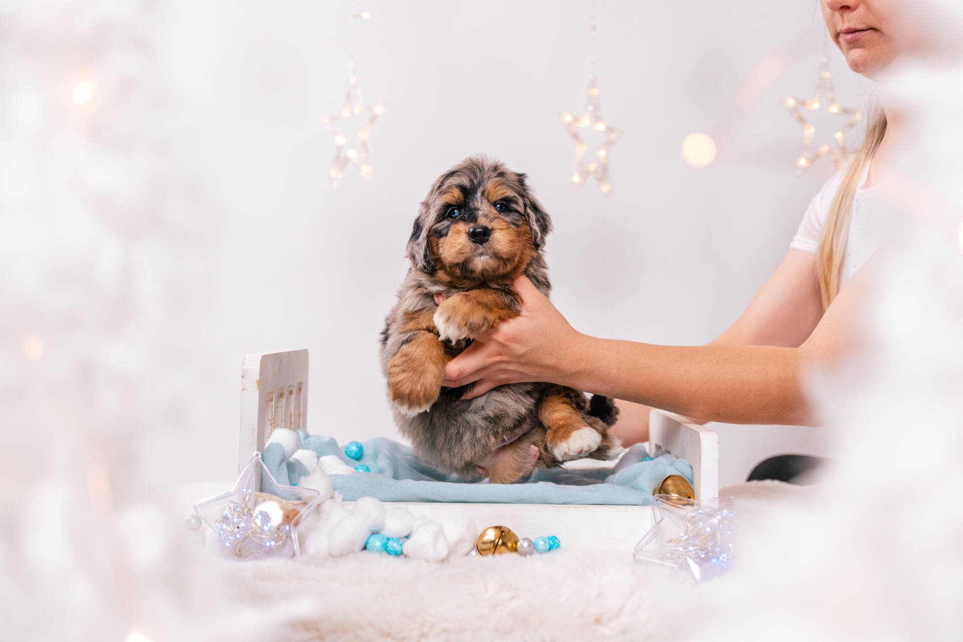 Napoleon - Mini F1 Boy - Image 2