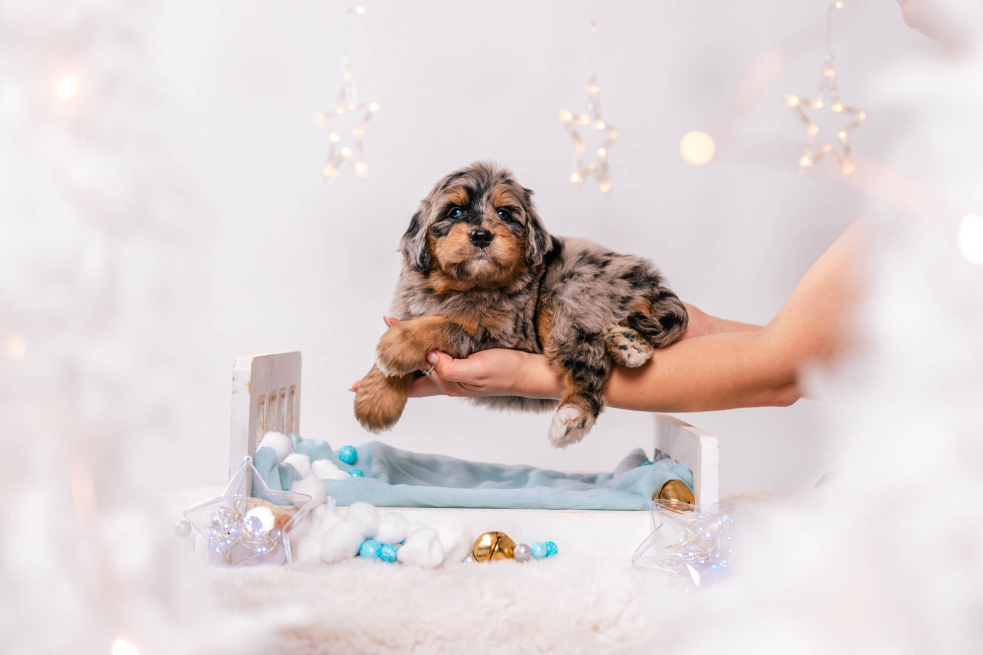 Napoleon - Mini F1 Boy - Image 3