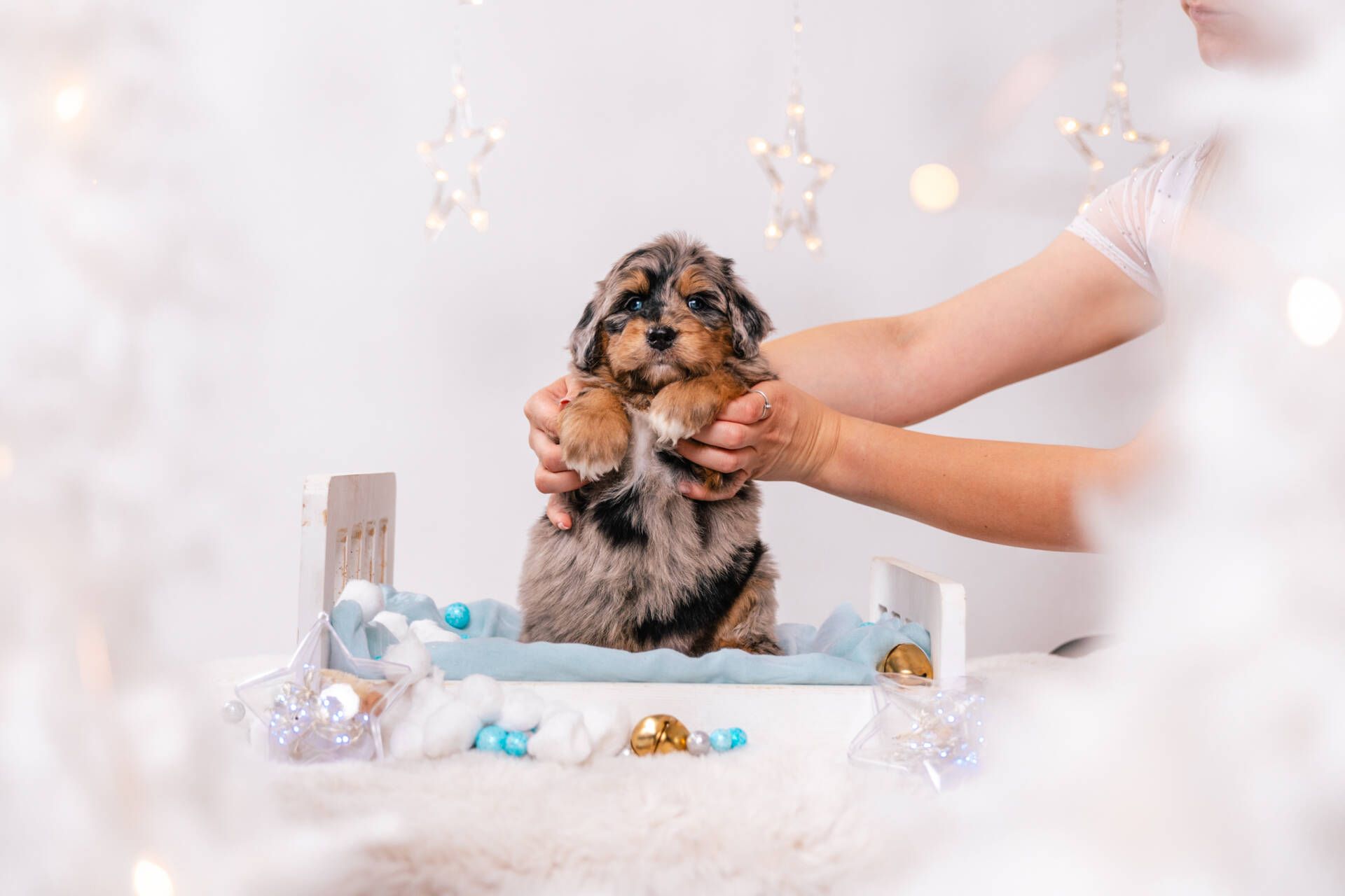 Napoleon - Mini F1 Boy - Image 5