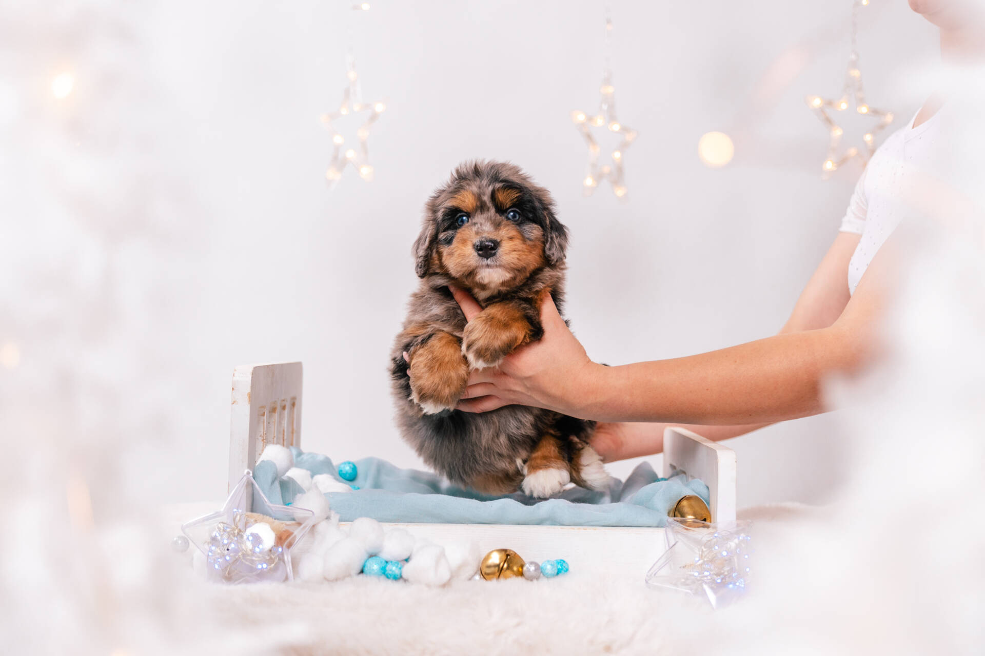 Niko - Mini F1 Boy - Image 2