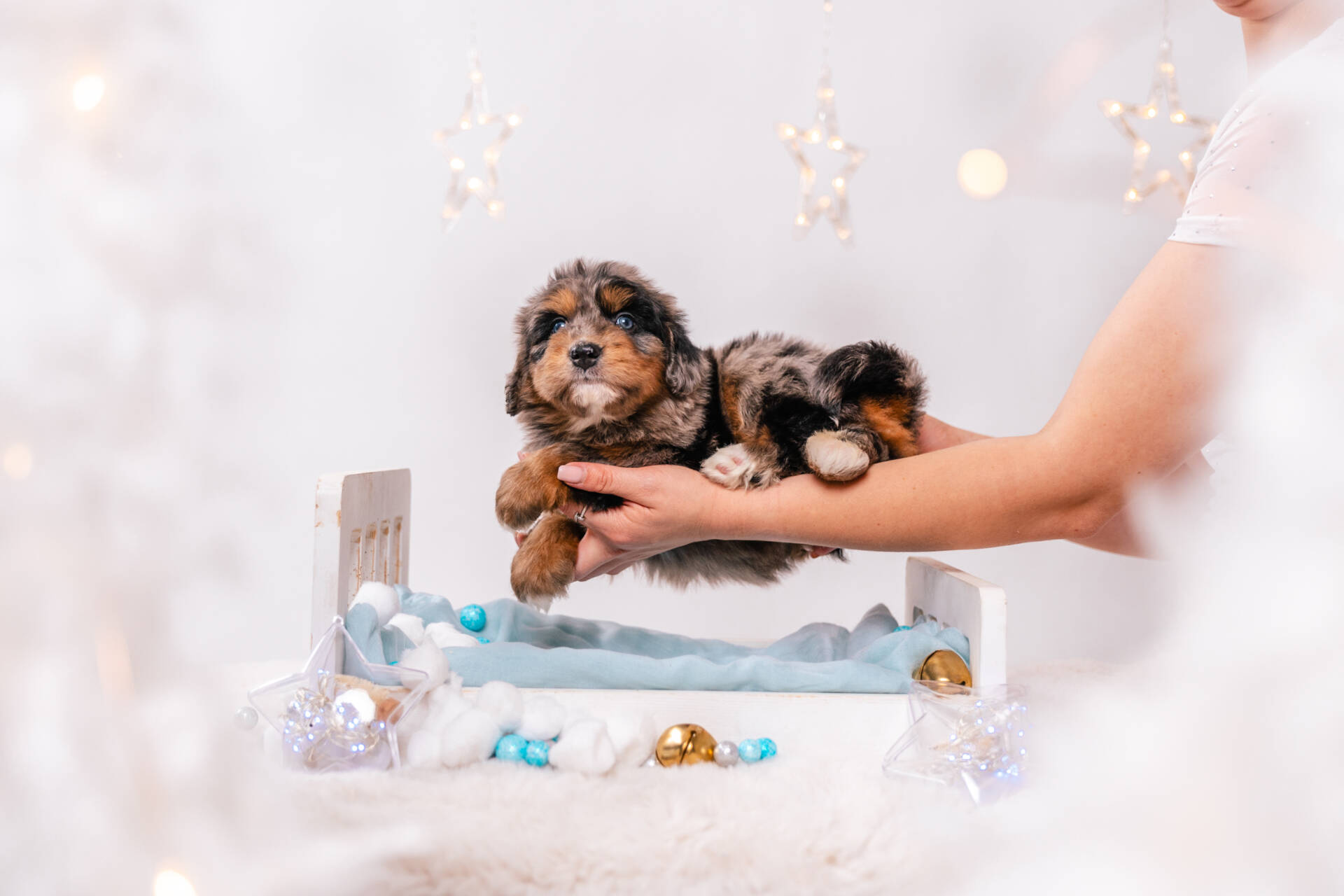 Niko - Mini F1 Boy - Image 3