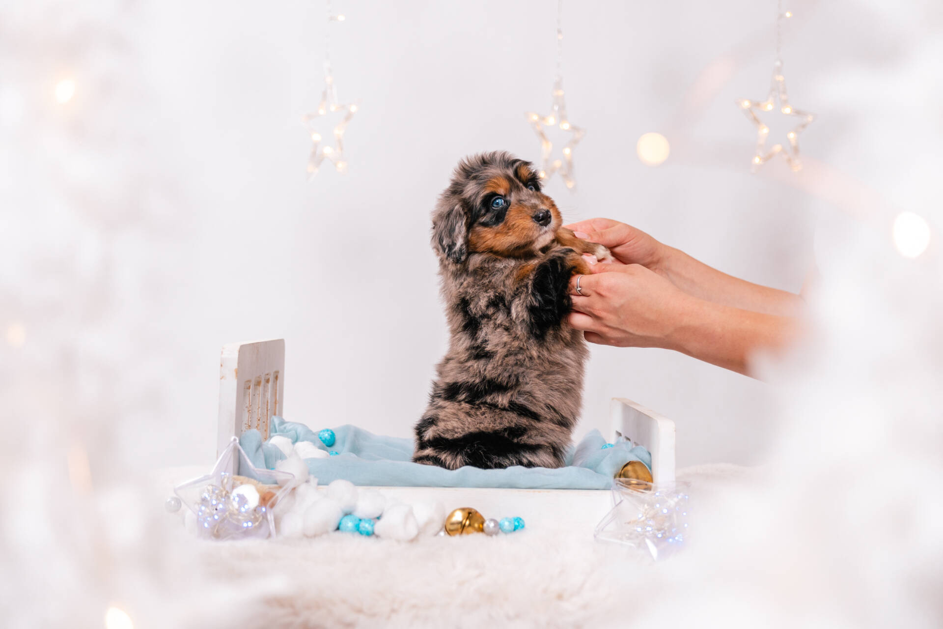 Niko - Mini F1 Boy - Image 4