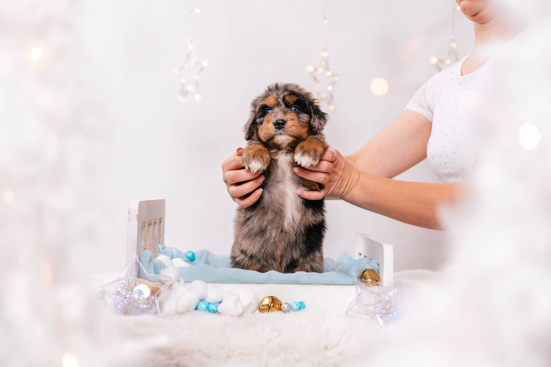 Niko - Mini F1 Boy - Image 5