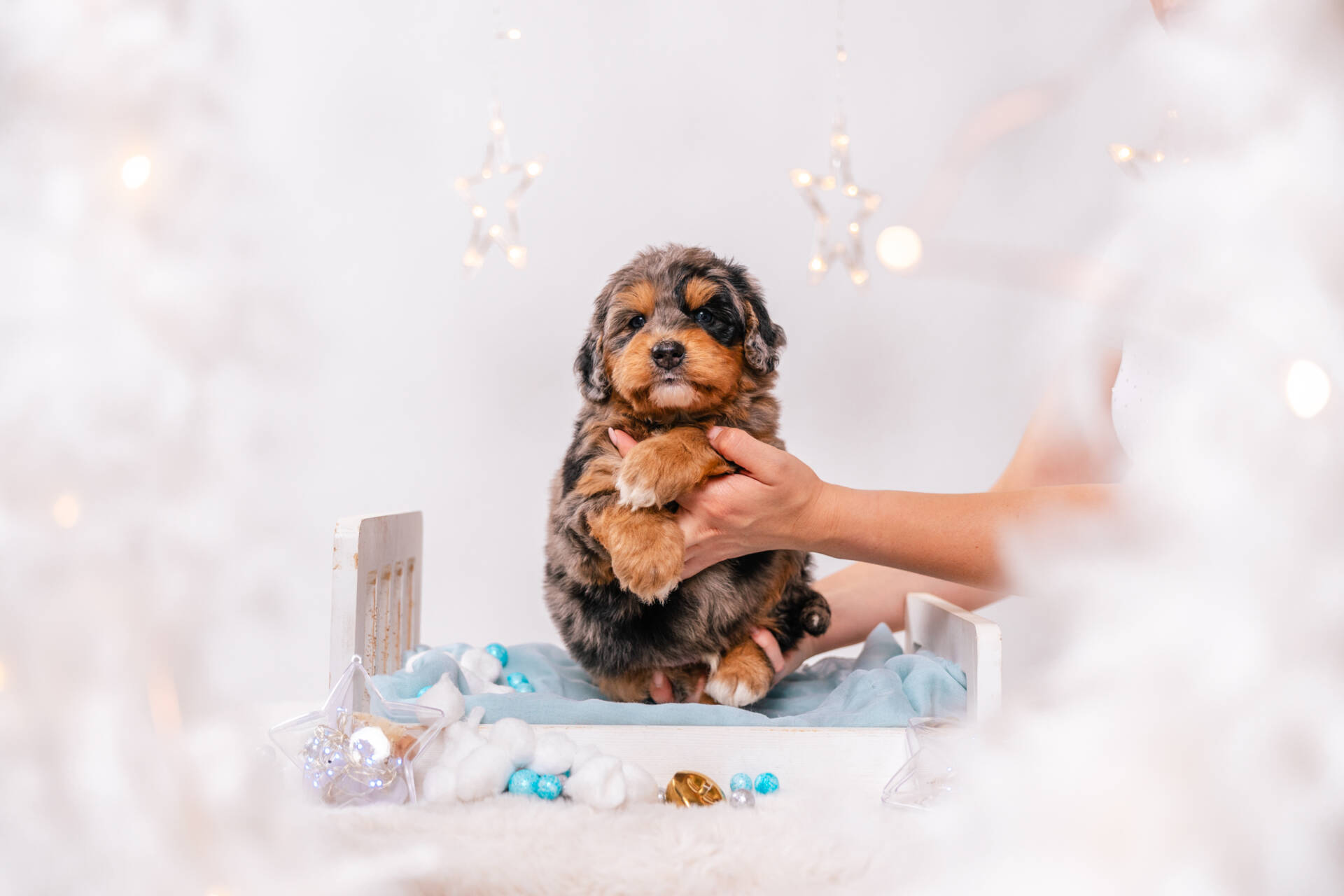 Nugget - Mini F1 Boy - Image 2