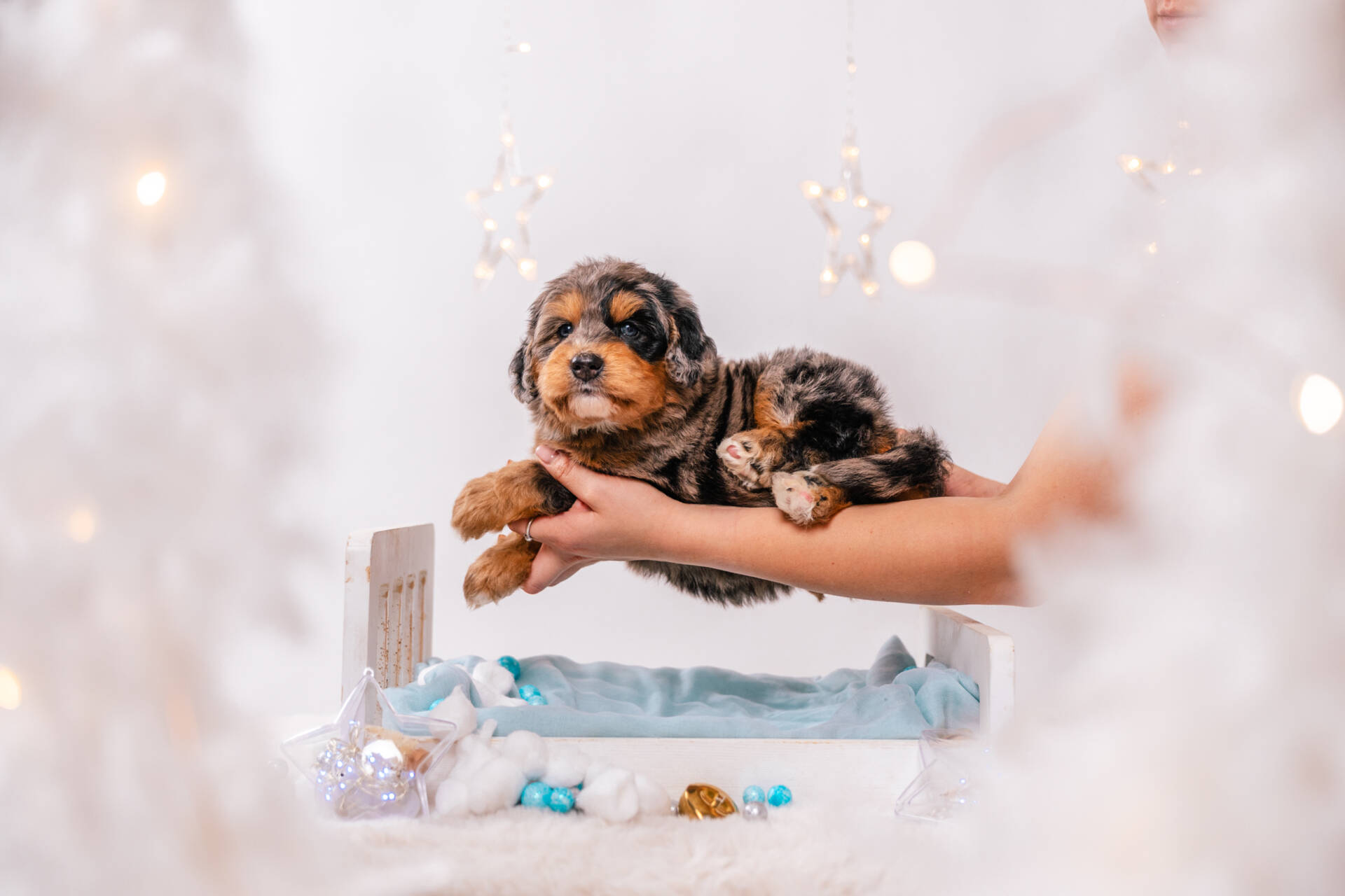 Nugget - Mini F1 Boy - Image 3