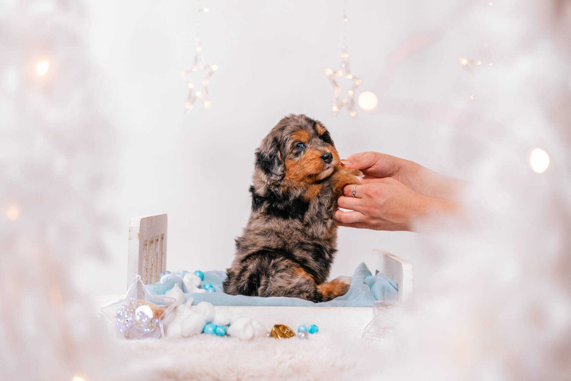 Nugget - Mini F1 Boy - Image 4