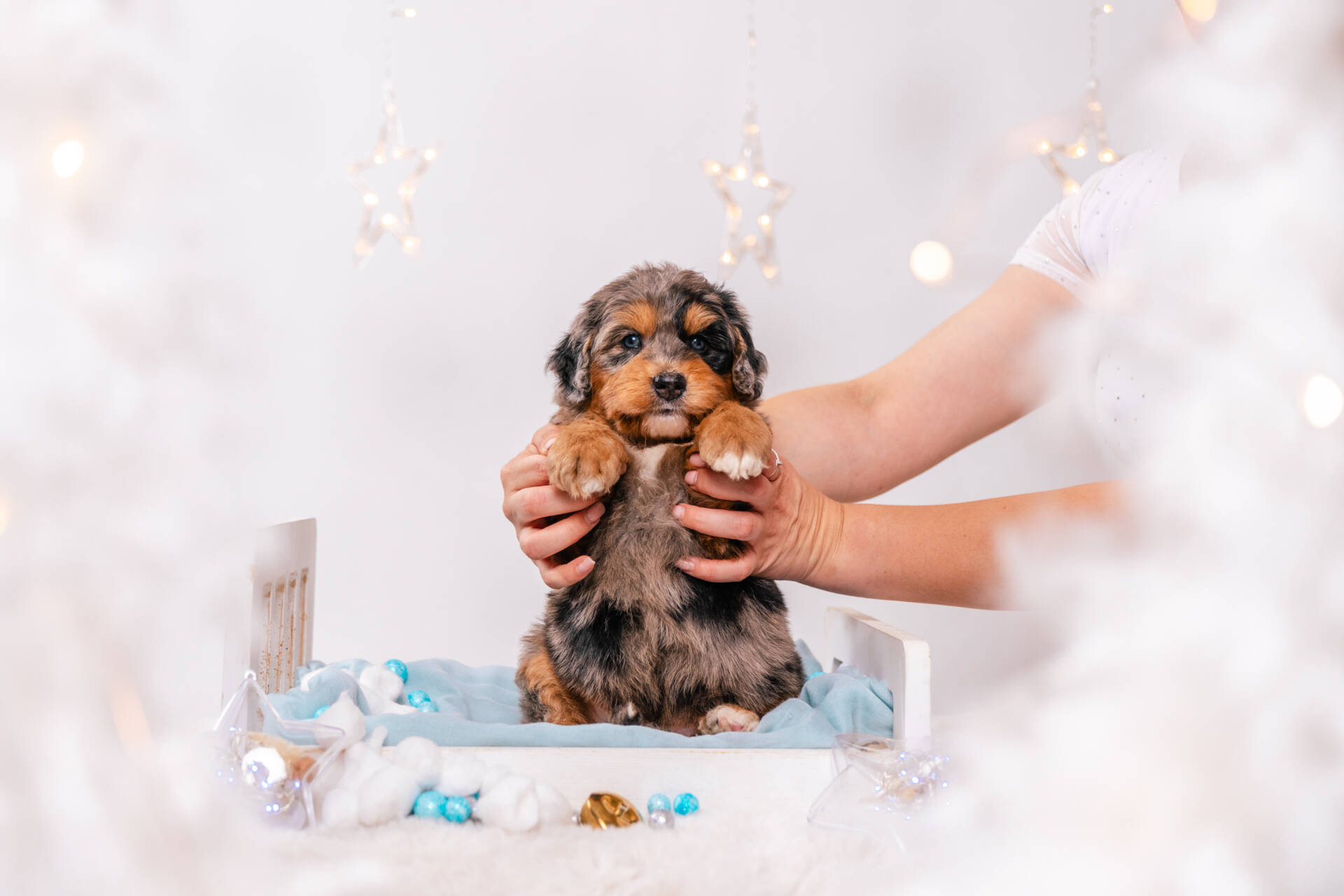 Nugget - Mini F1 Boy - Image 5