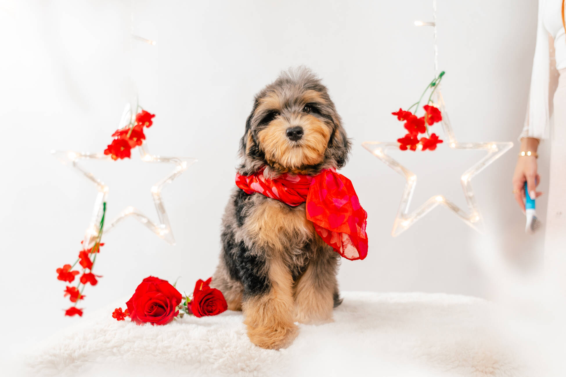 5litter 2 8545маверик 1